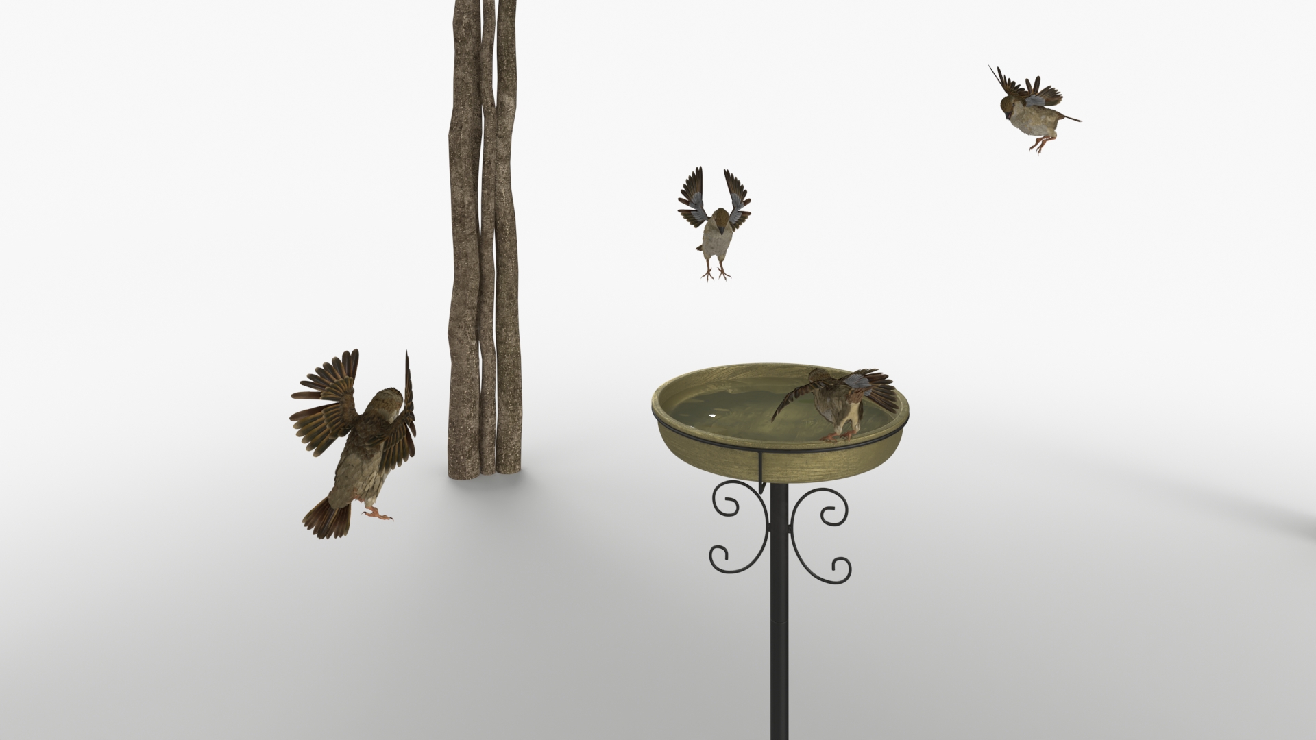 3D Birds Drink From A Birdbath In A Garden Gazebo