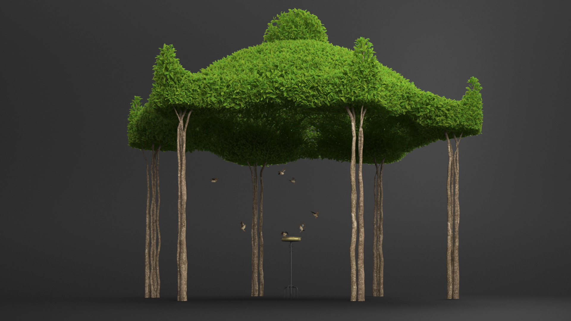 3D Birds Drink From A Birdbath In A Garden Gazebo