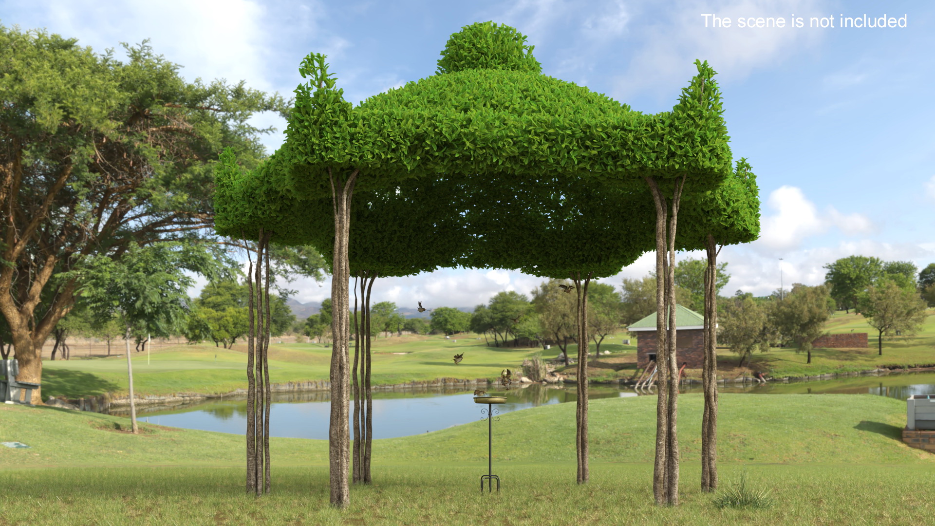3D Birds Drink From A Birdbath In A Garden Gazebo