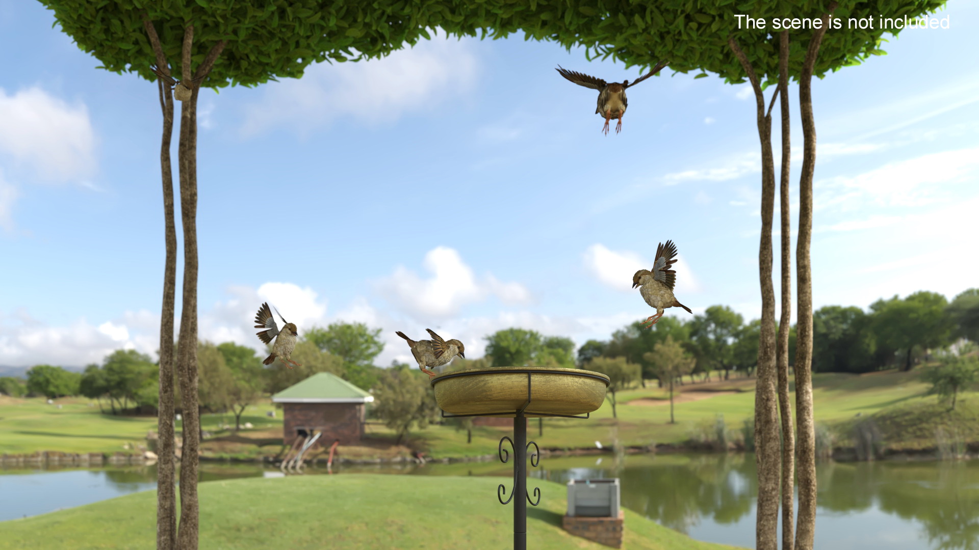 3D Birds Drink From A Birdbath In A Garden Gazebo