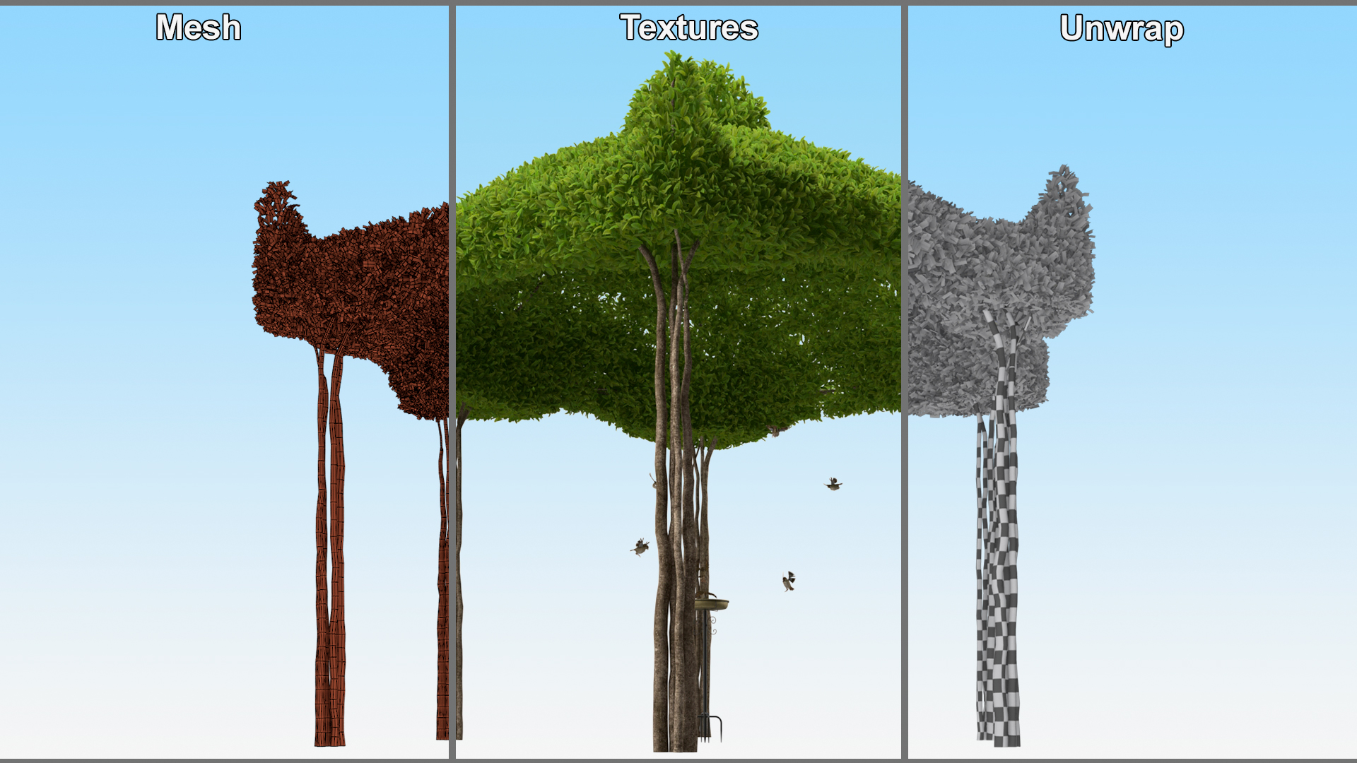 3D Birds Drink From A Birdbath In A Garden Gazebo