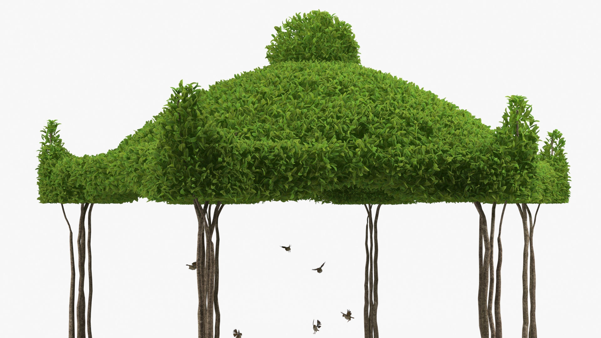 3D Birds Drink From A Birdbath In A Garden Gazebo
