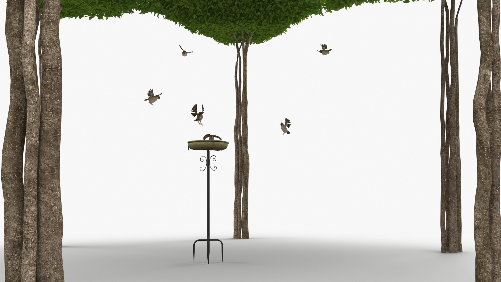 3D Birds Drink From A Birdbath In A Garden Gazebo