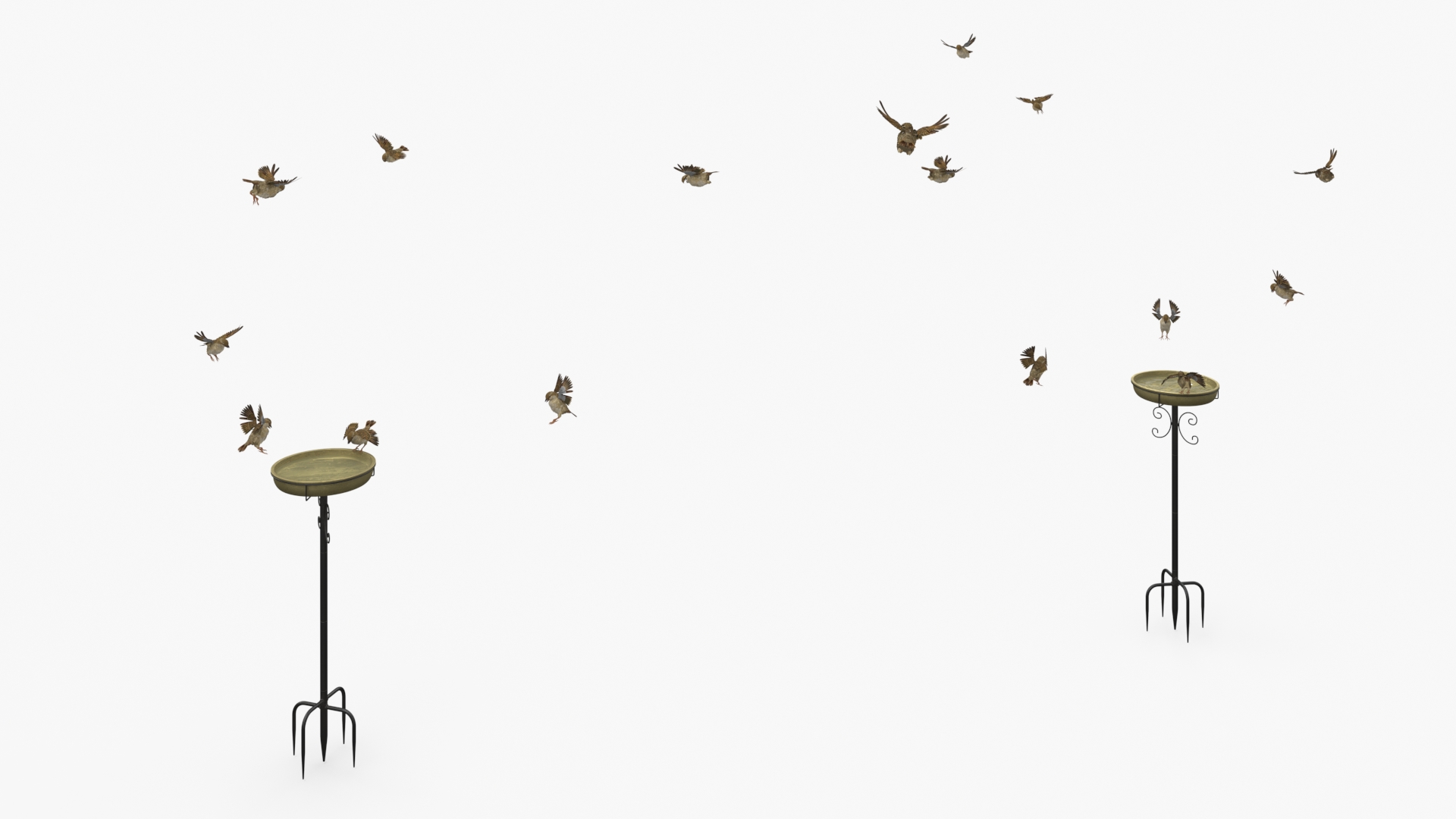 3D Birds Drink From A Birdbath In A Garden Gazebo