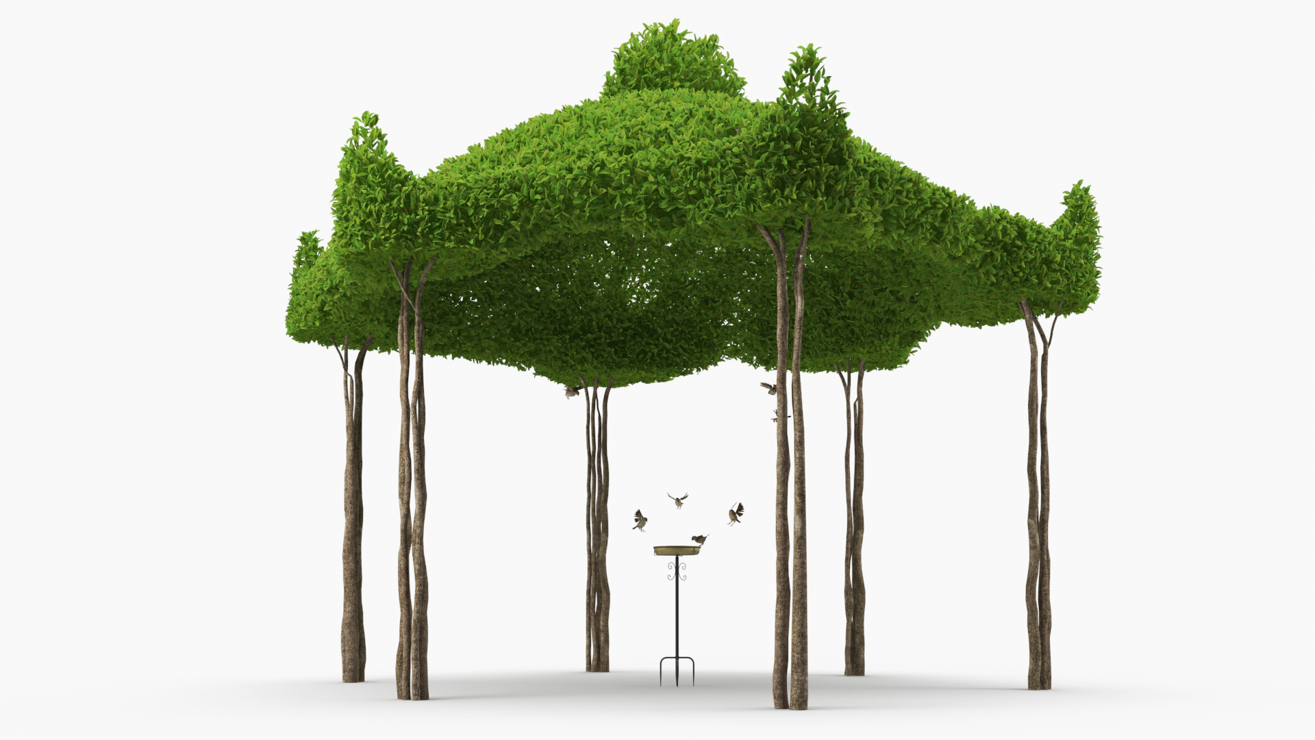 3D Birds Drink From A Birdbath In A Garden Gazebo