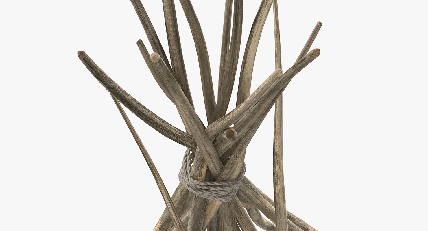 3D model Tipi Poles