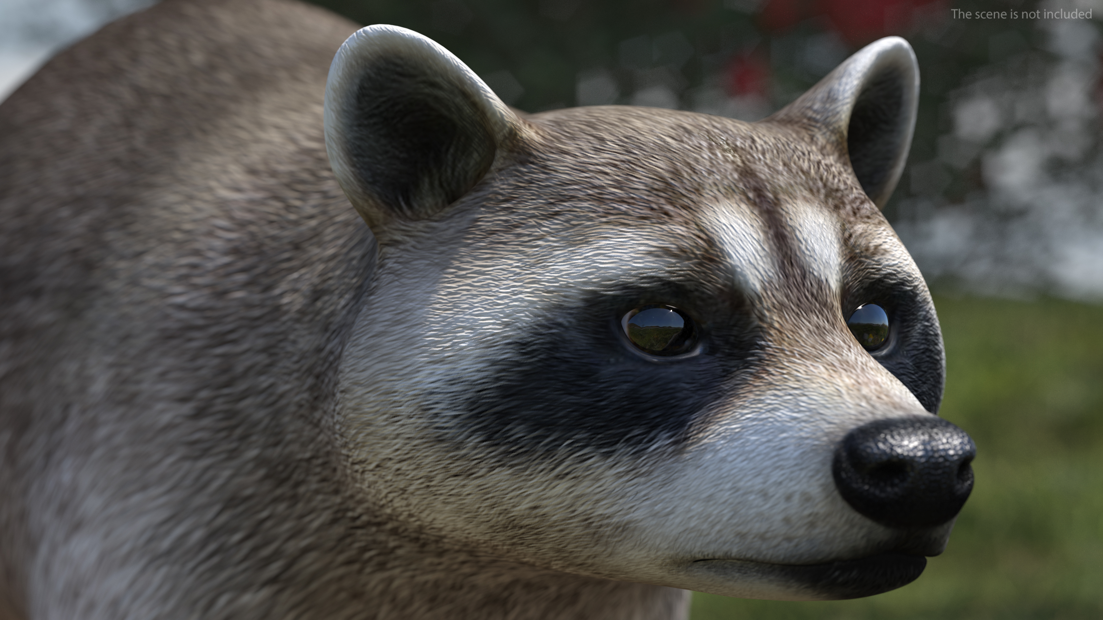 Raccoon Rigged 3D model