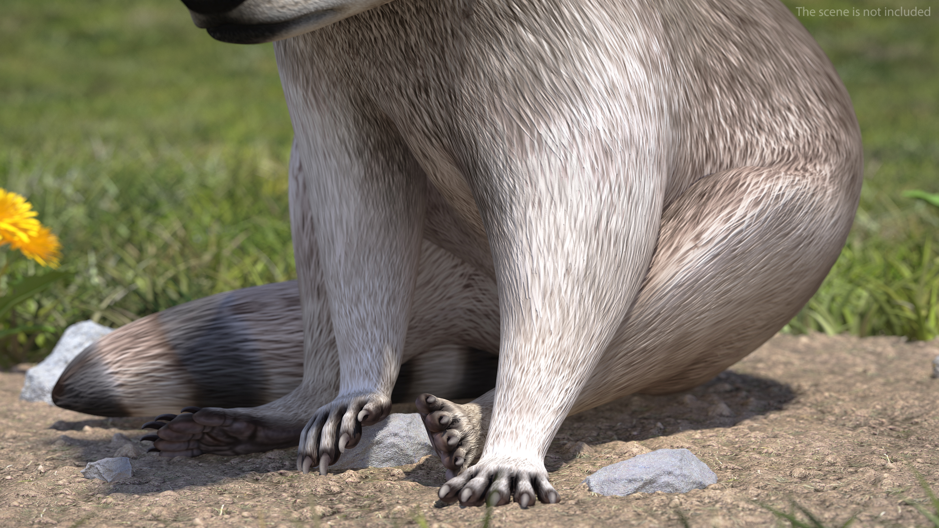 Raccoon Rigged 3D model