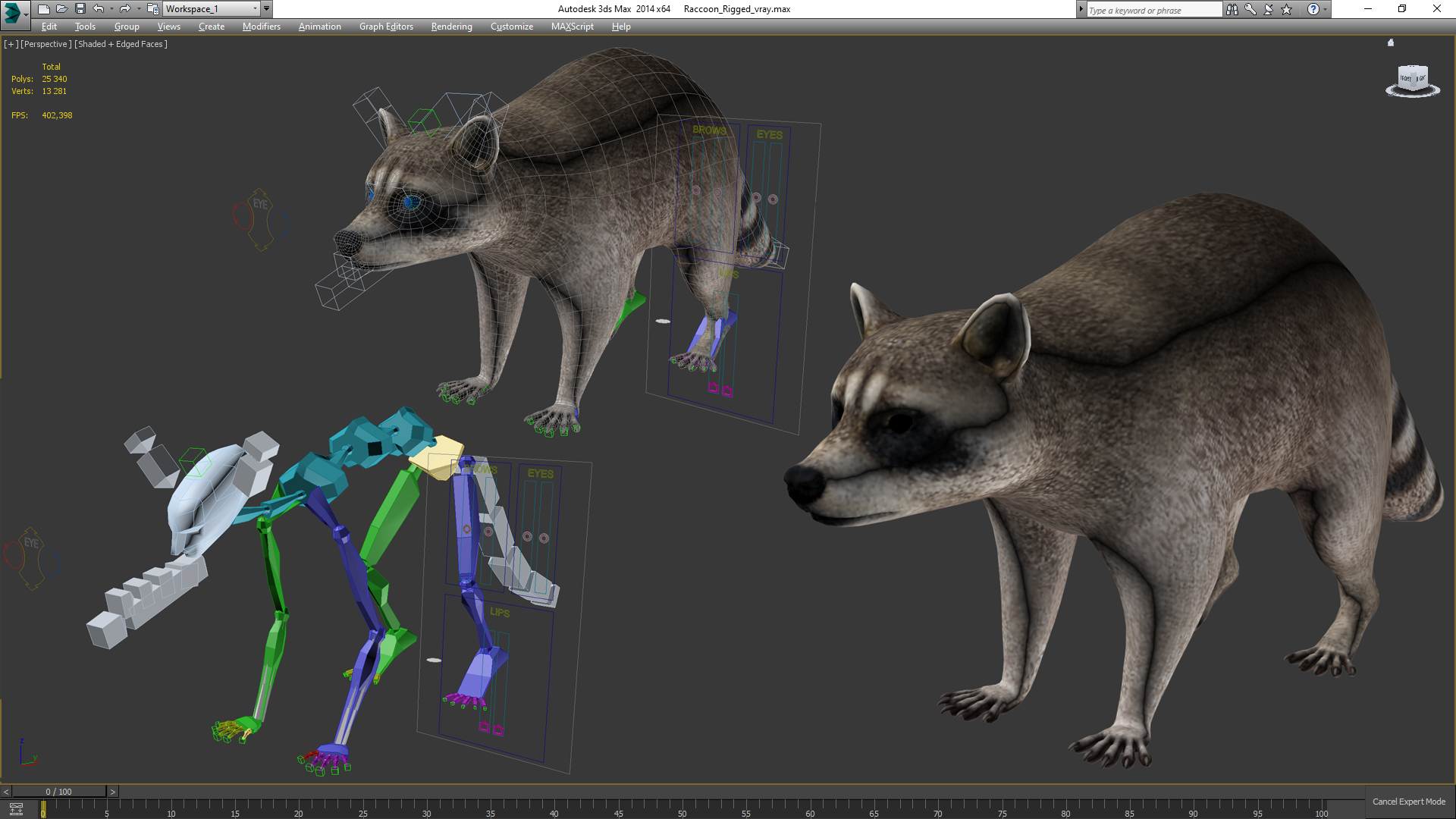Raccoon Rigged 3D model