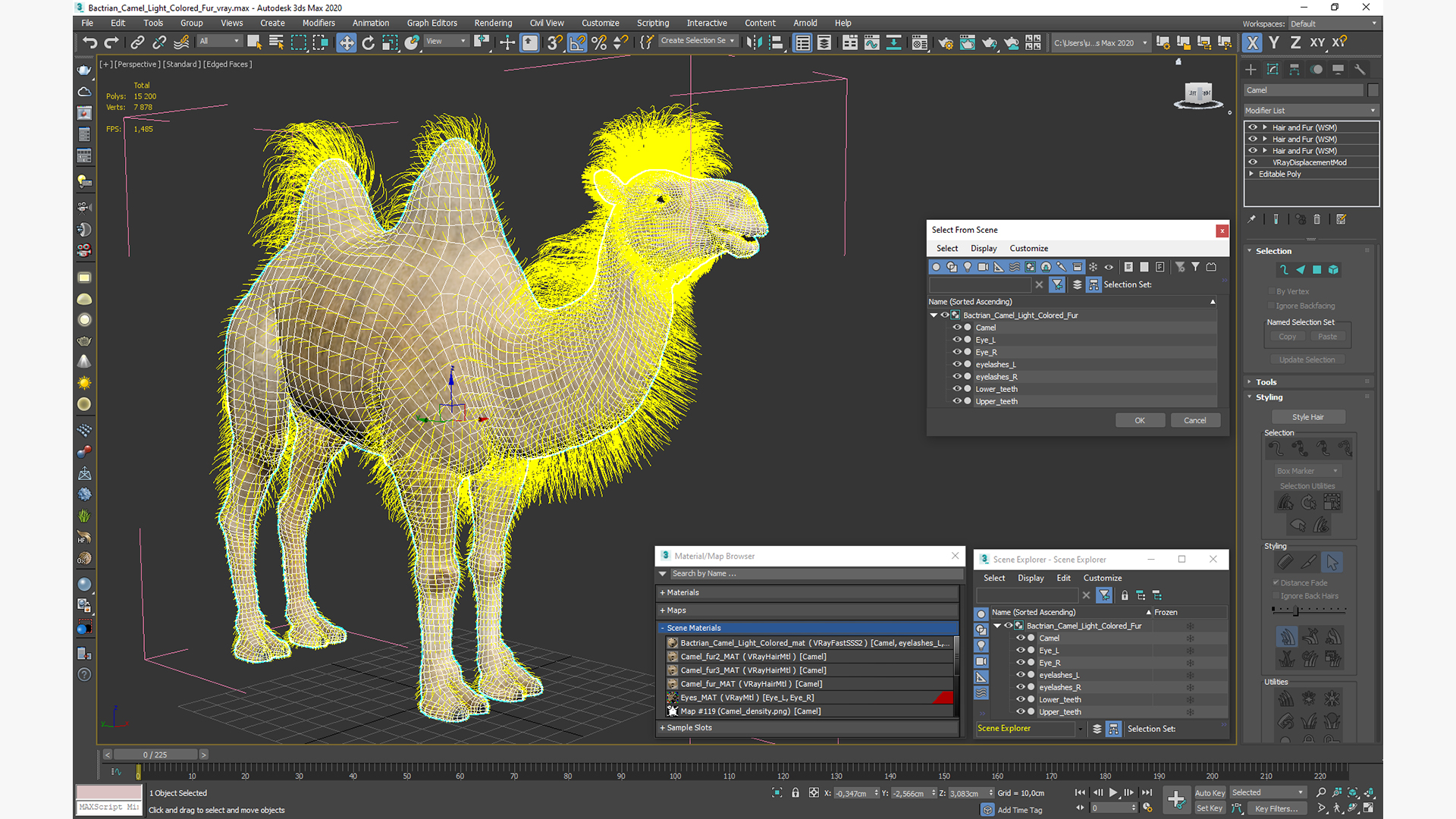 Bactrian Camel Light Colored Fur 3D