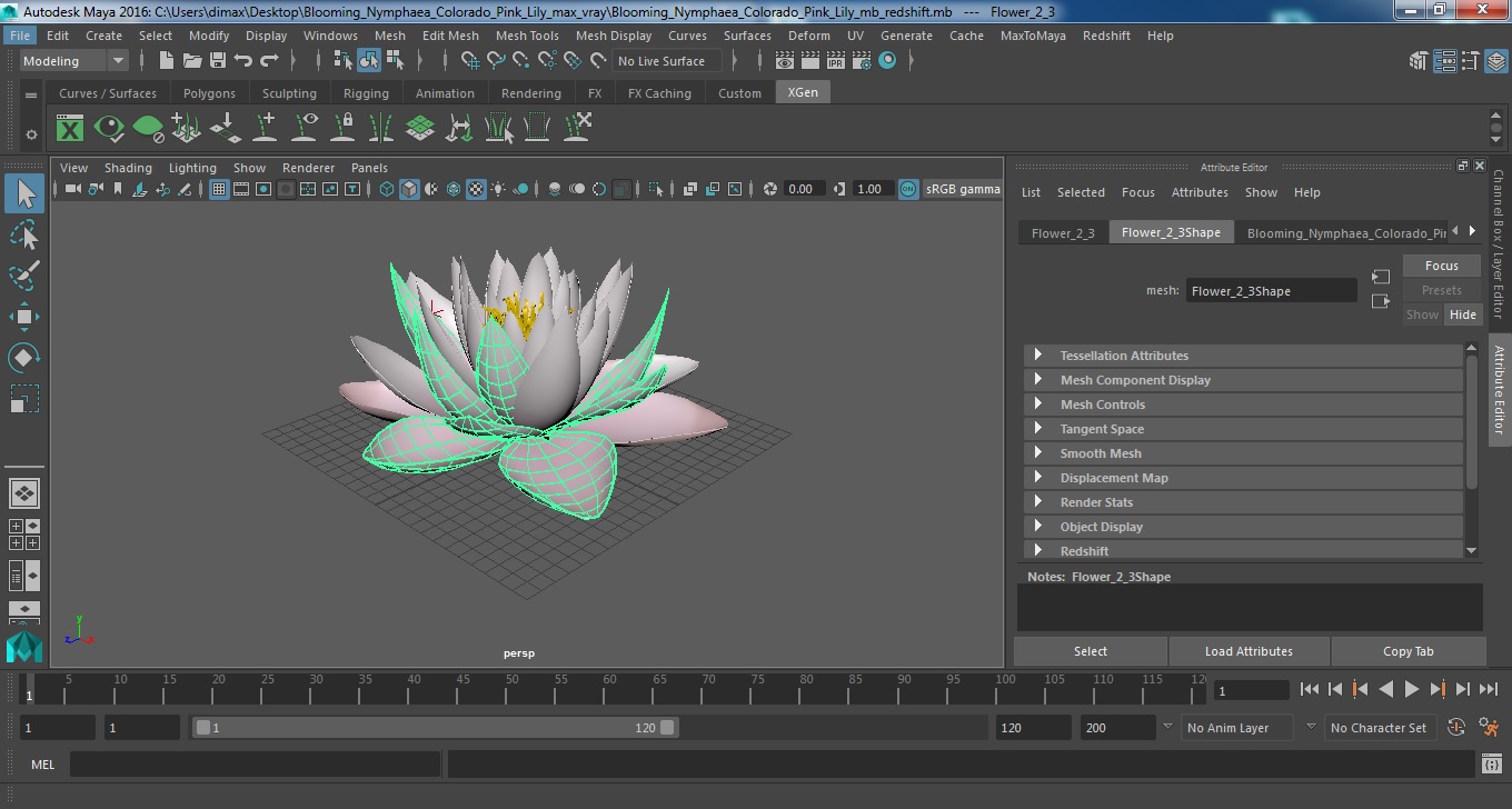 3D Blooming Nymphaea Colorado Pink Lily