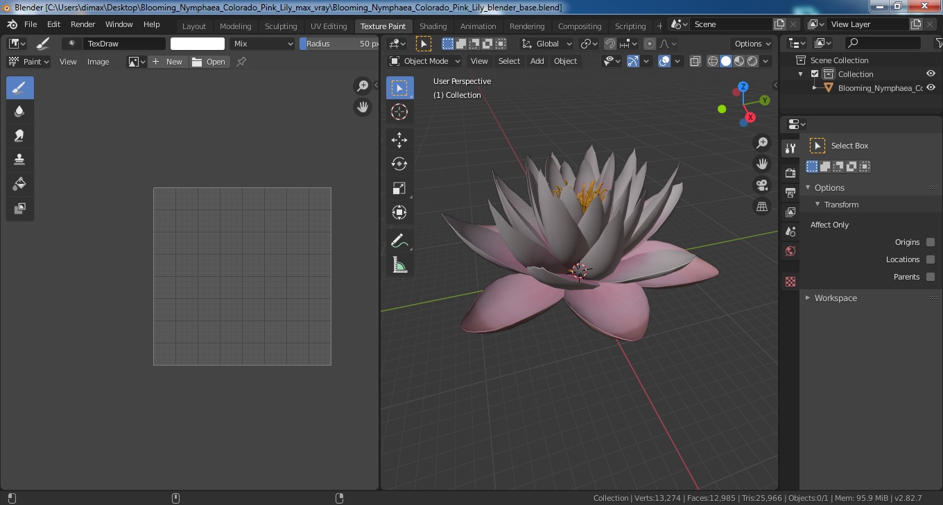 3D Blooming Nymphaea Colorado Pink Lily