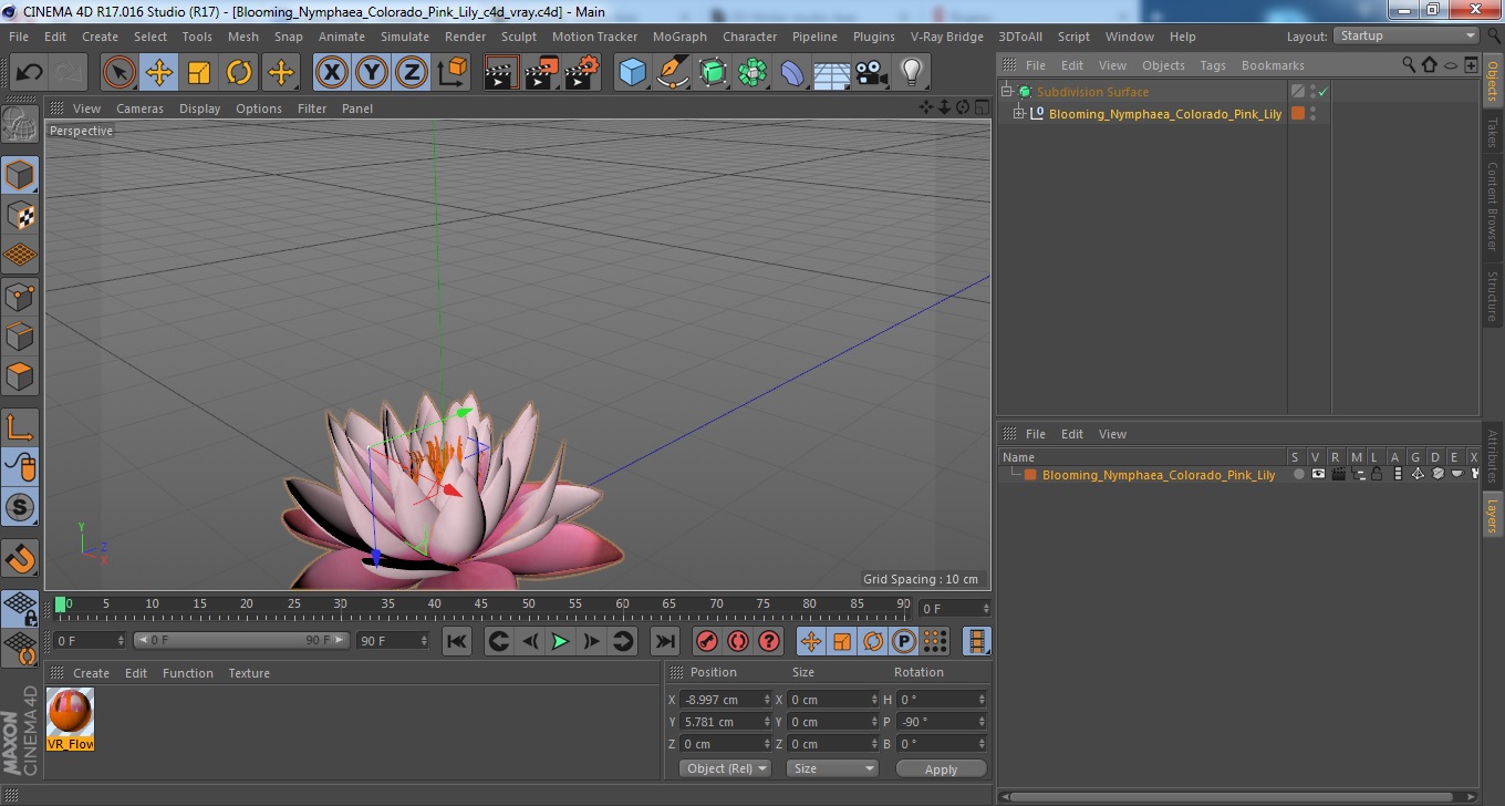 3D Blooming Nymphaea Colorado Pink Lily