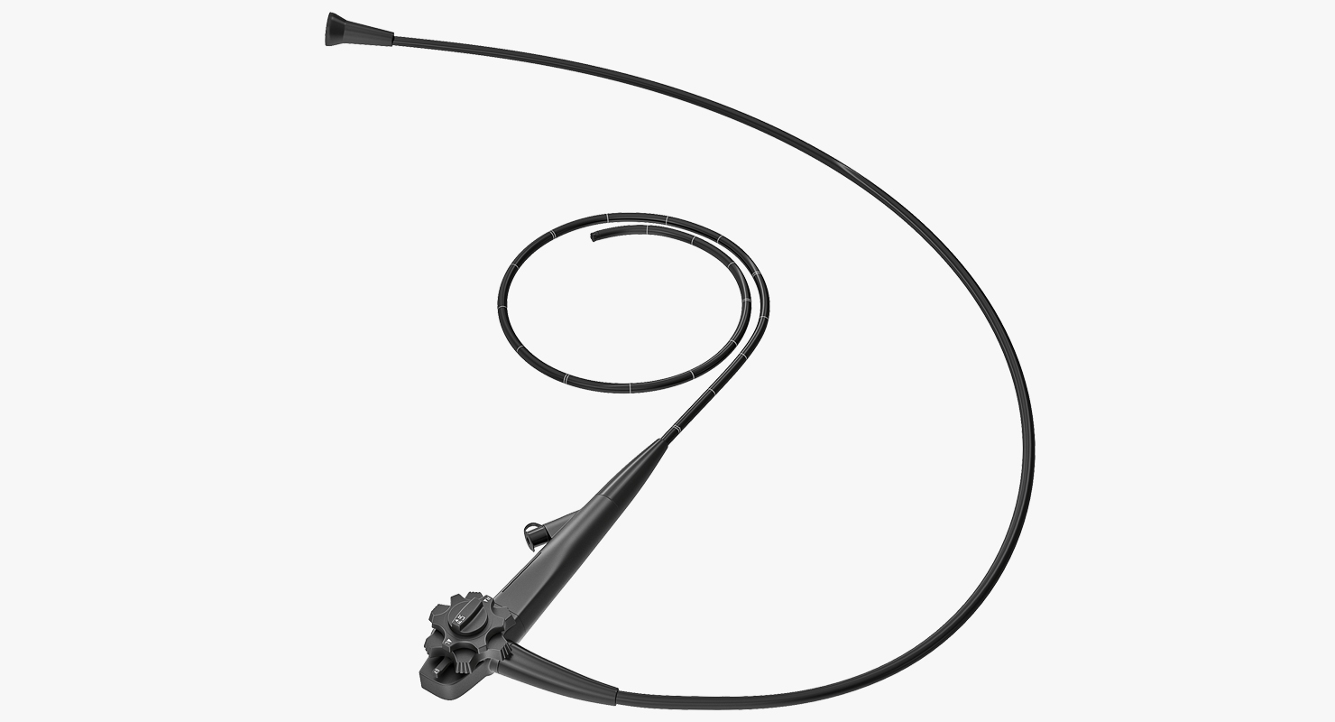 Endoscope 3D model