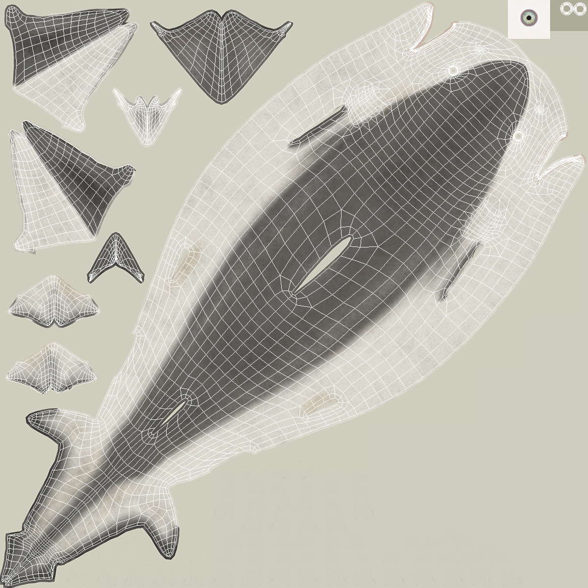 Carcharhinus Porosus Shark Rigged for Maya 3D