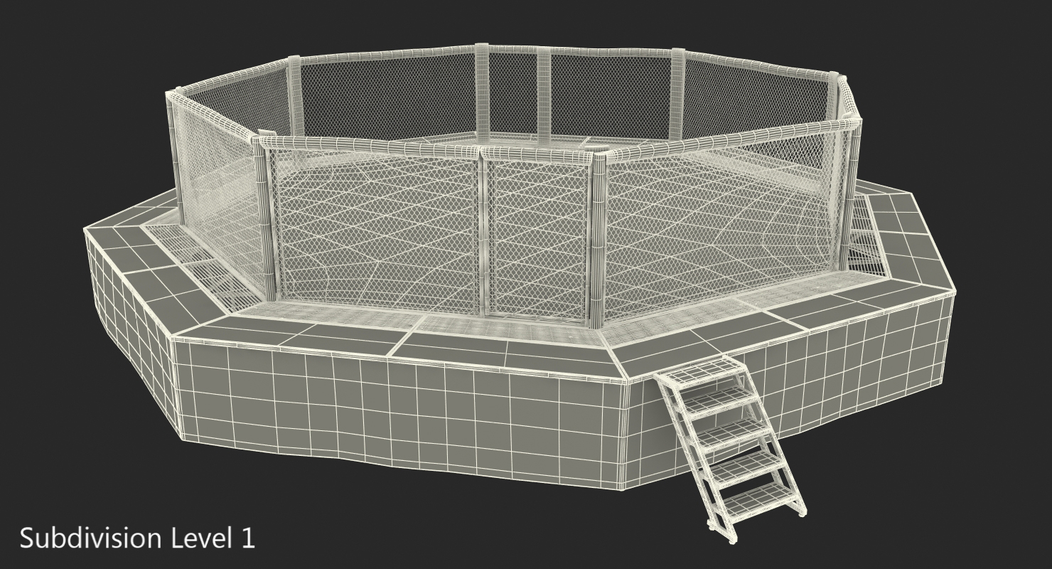 Fighting Octagon Arena 3D
