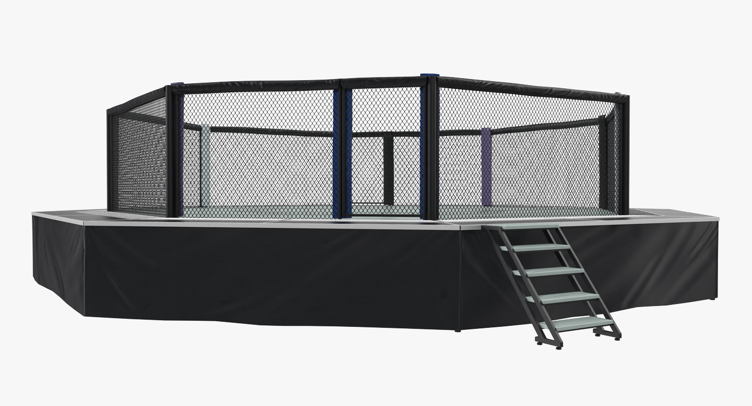 Fighting Octagon Arena 3D