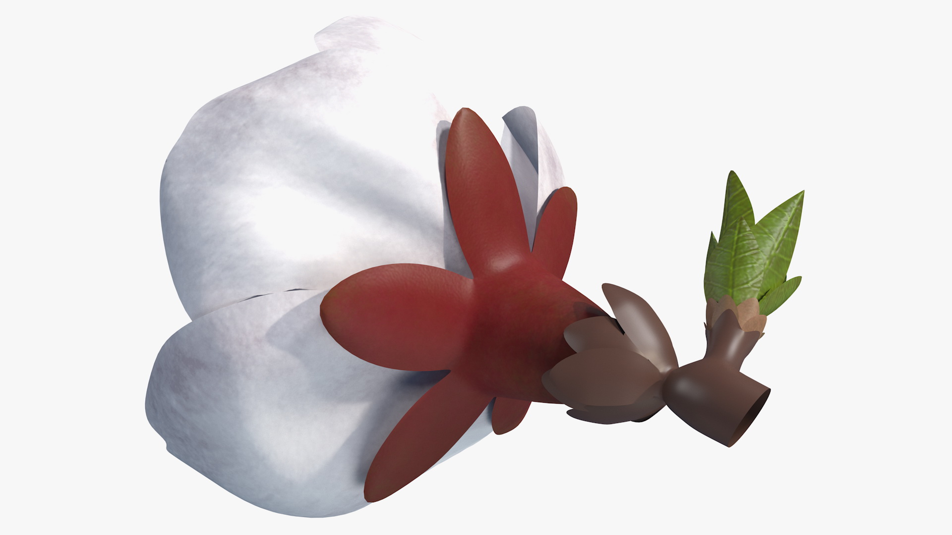 Cherry White Flower 3D model