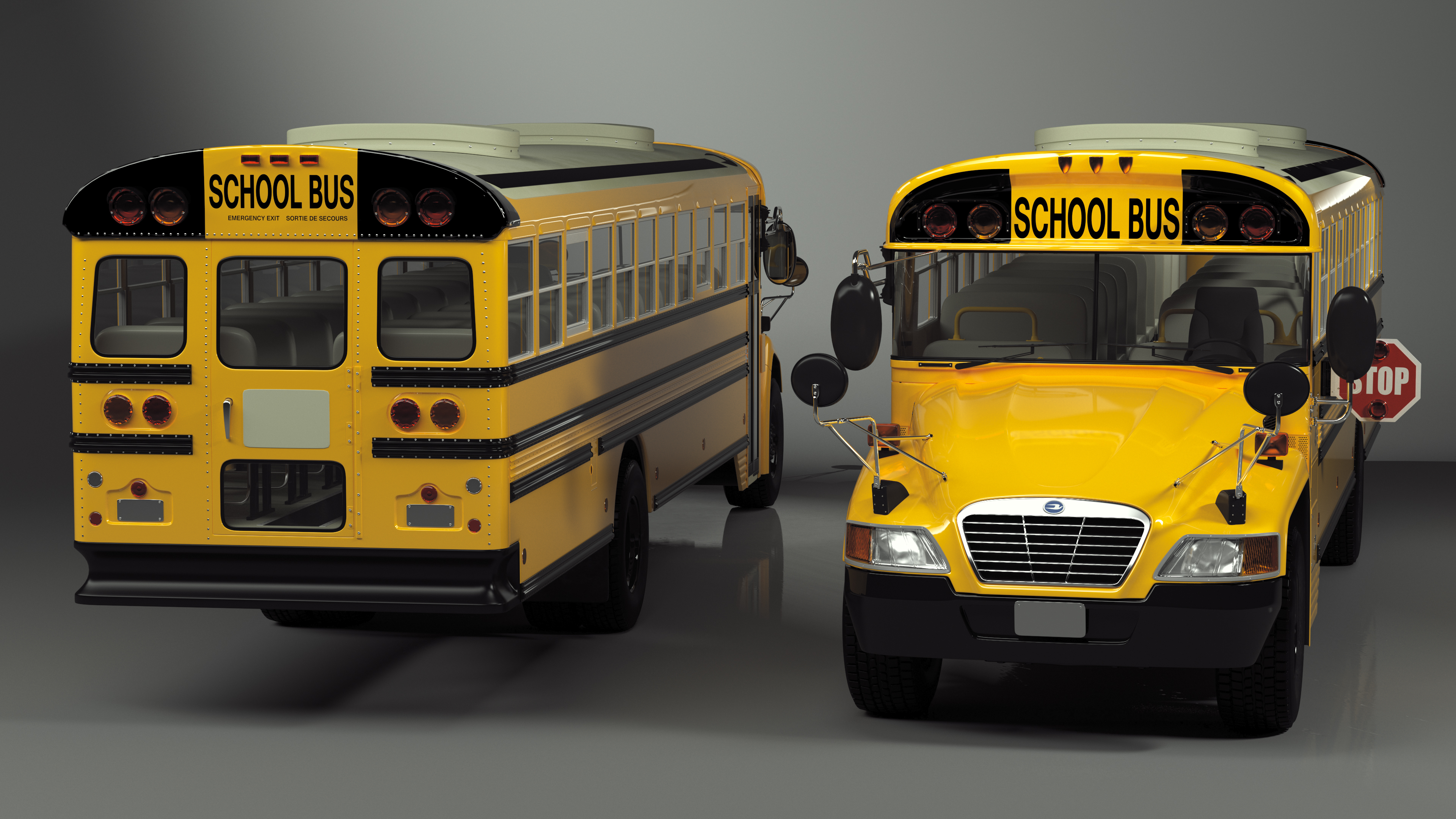 American School Bus 3D model