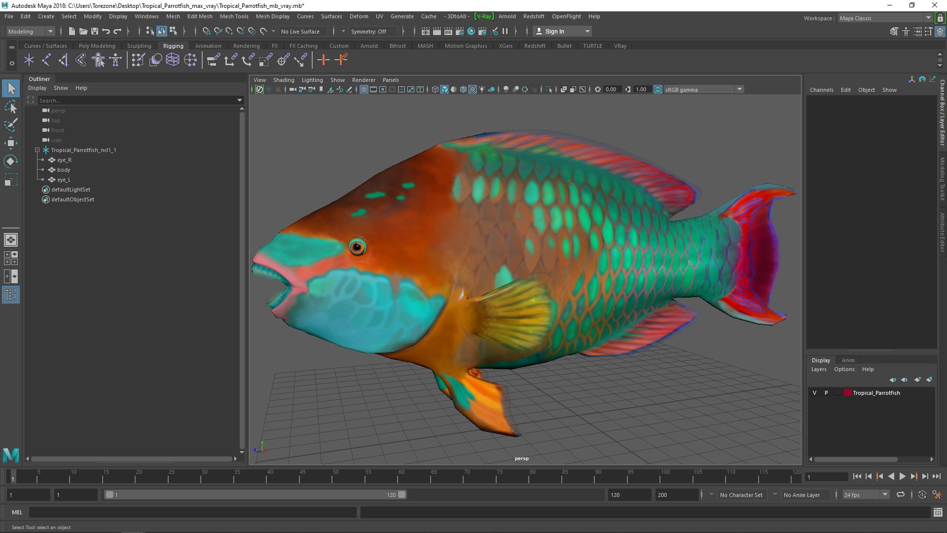 Tropical Parrotfish 3D model