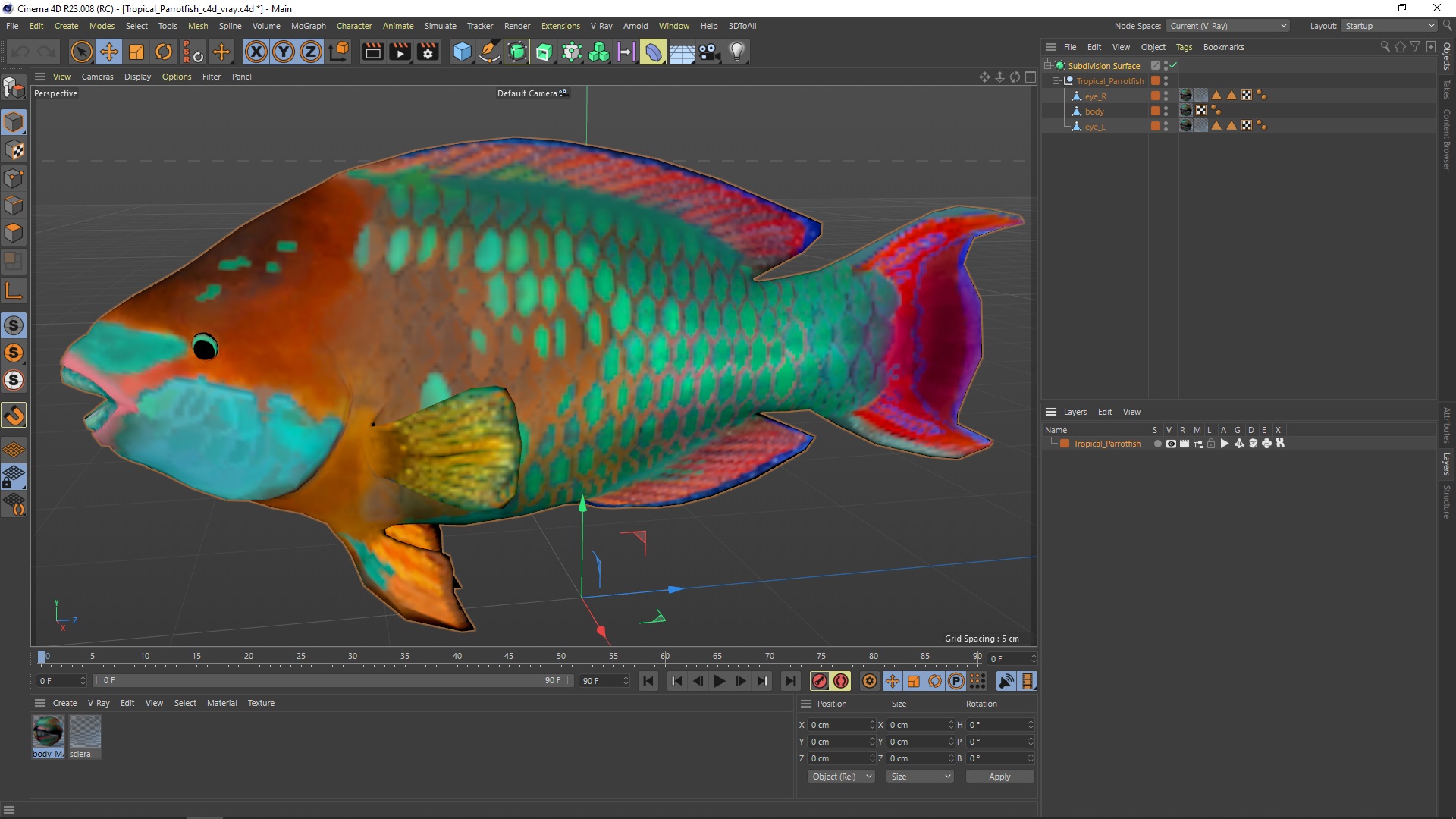 Tropical Parrotfish 3D model