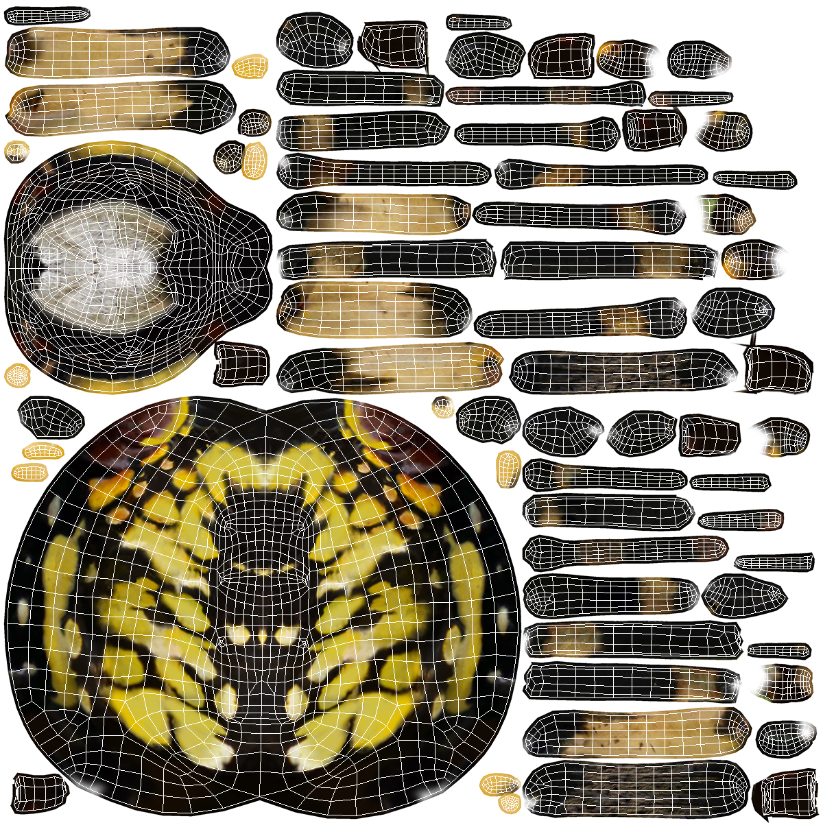 Argiope Aurantia or Yellow Garden Spider Rigged 3D