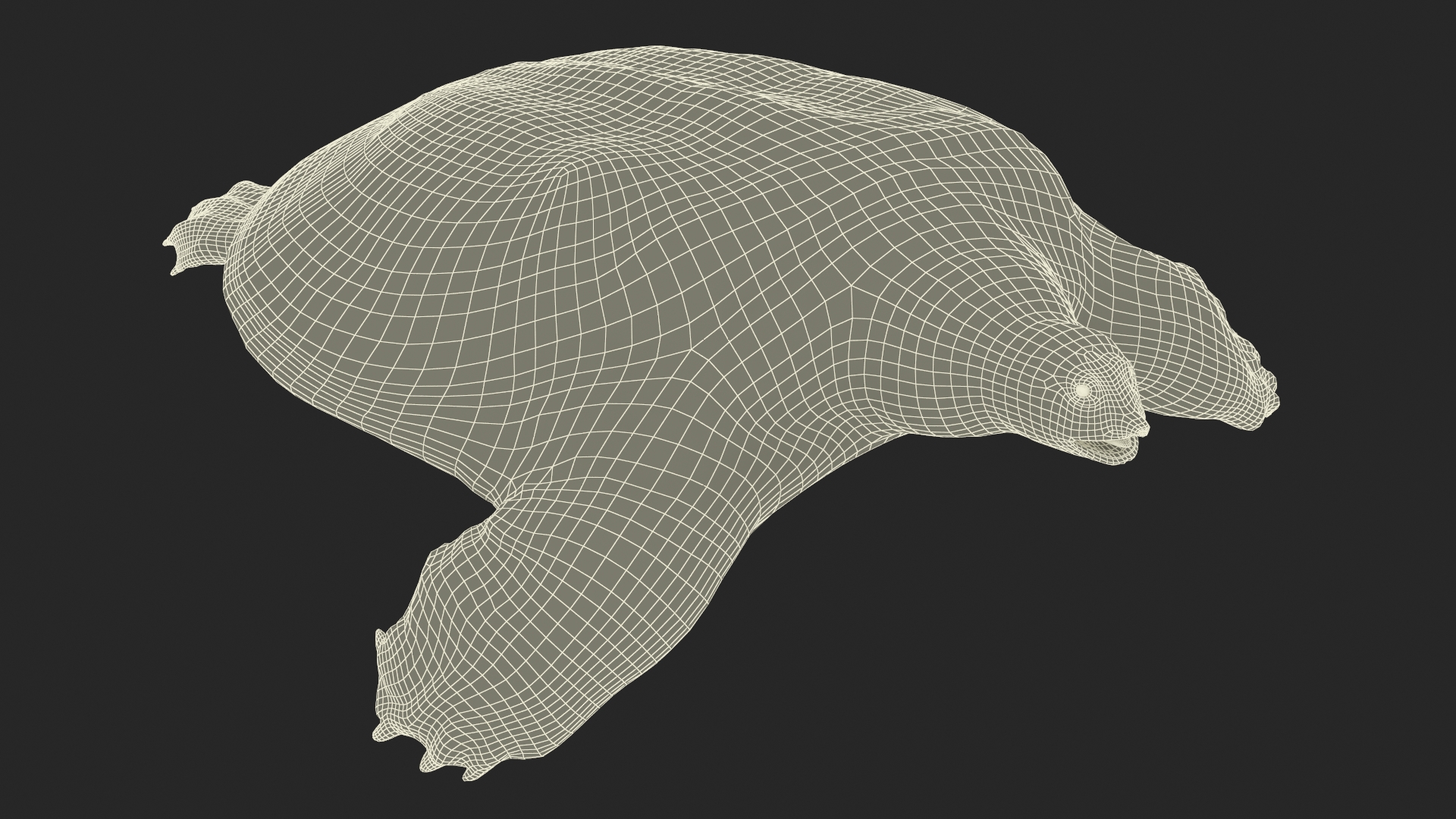3D Pelochelys Cantorii Rigged