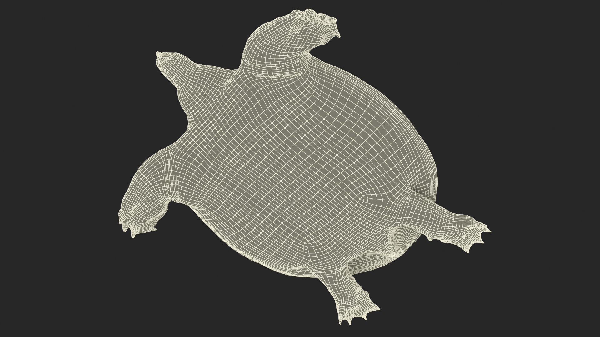 3D Pelochelys Cantorii Rigged