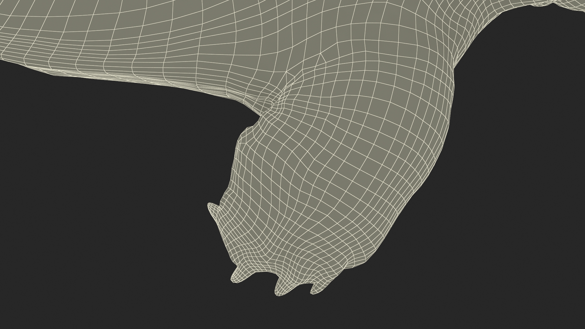 3D Pelochelys Cantorii Rigged