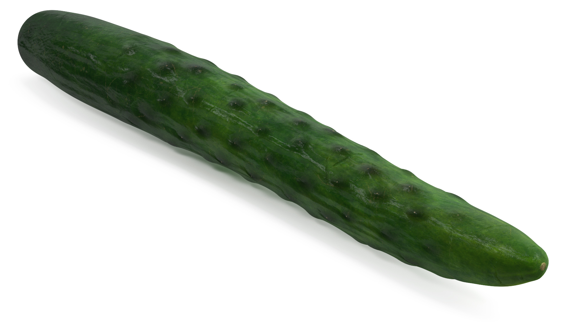 3D Long Cucumber model