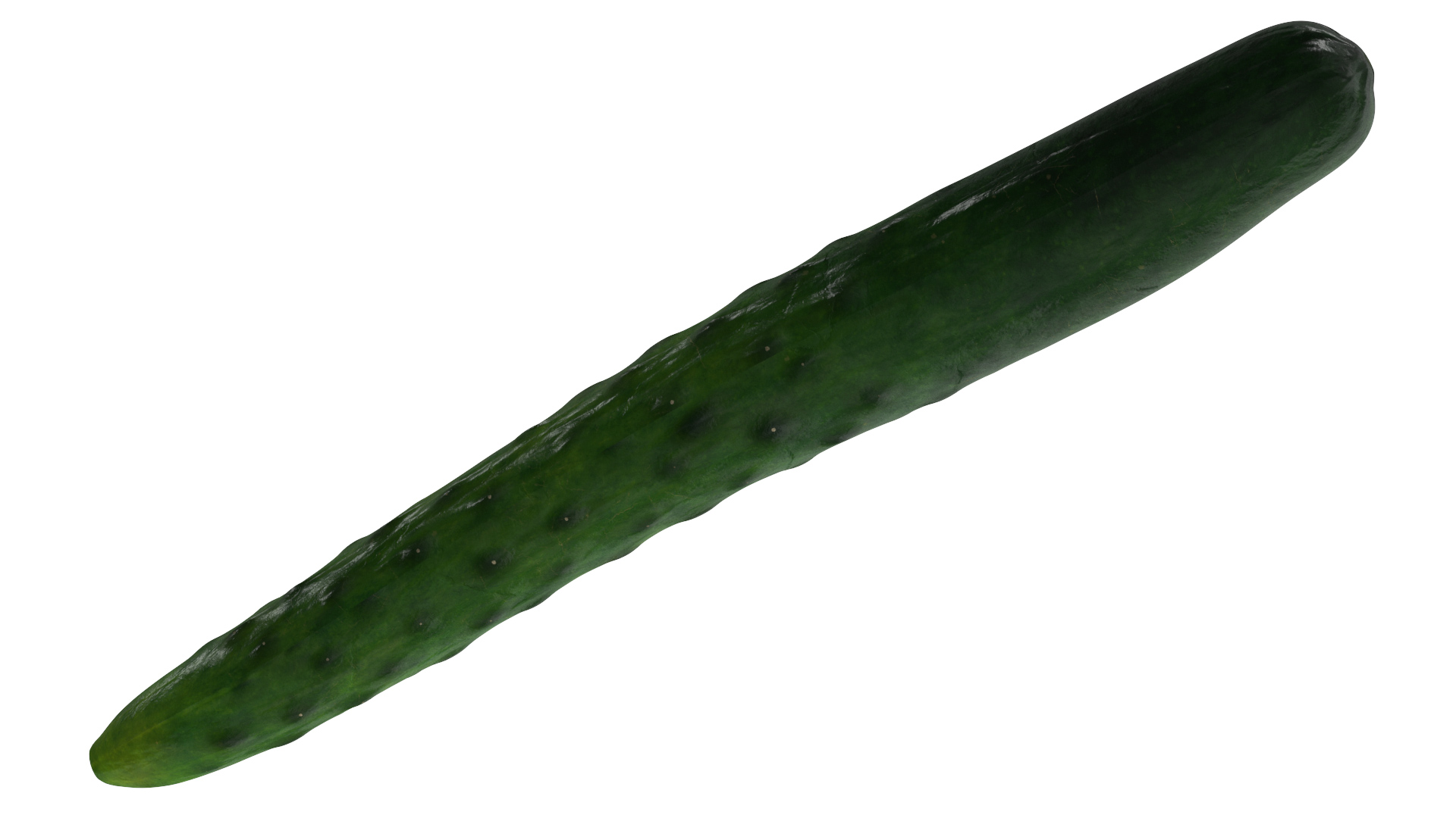 3D Long Cucumber model