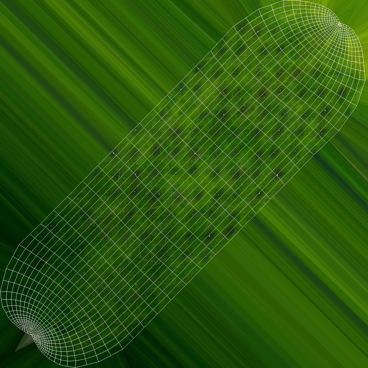 3D Long Cucumber model