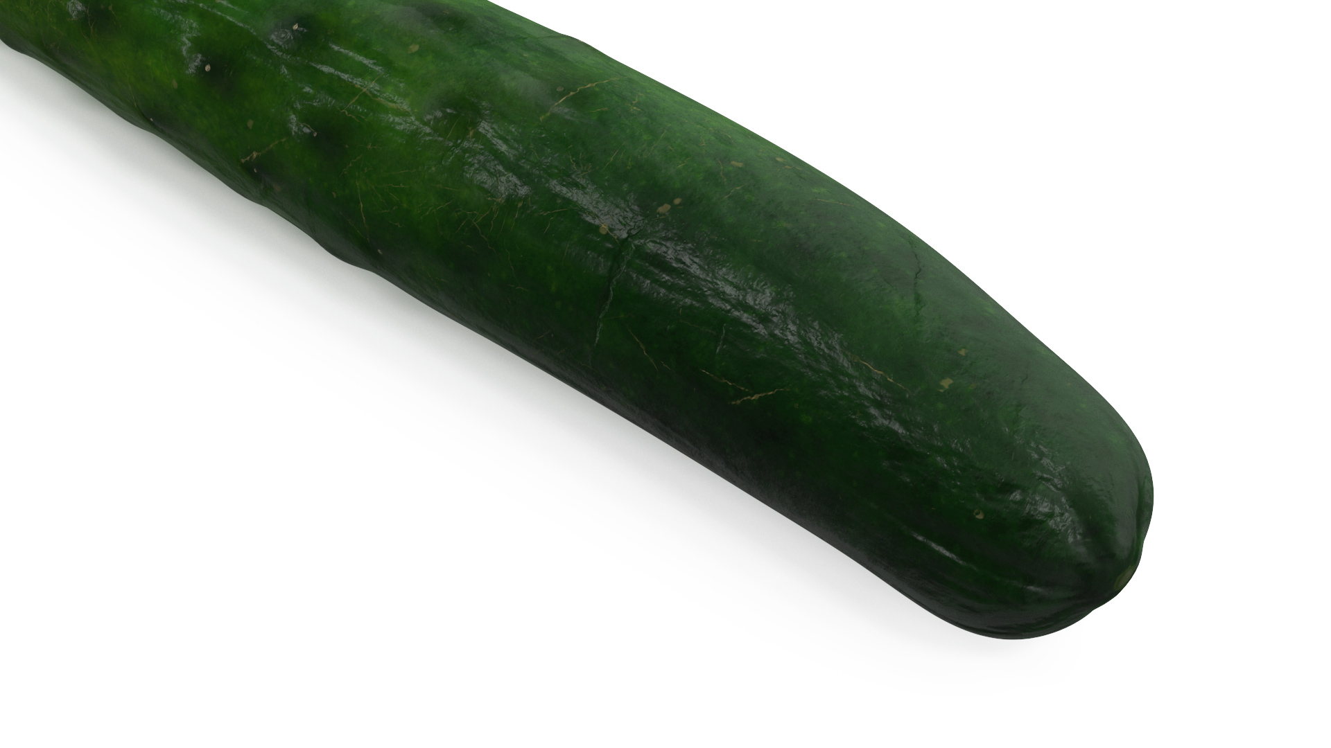 3D Long Cucumber model