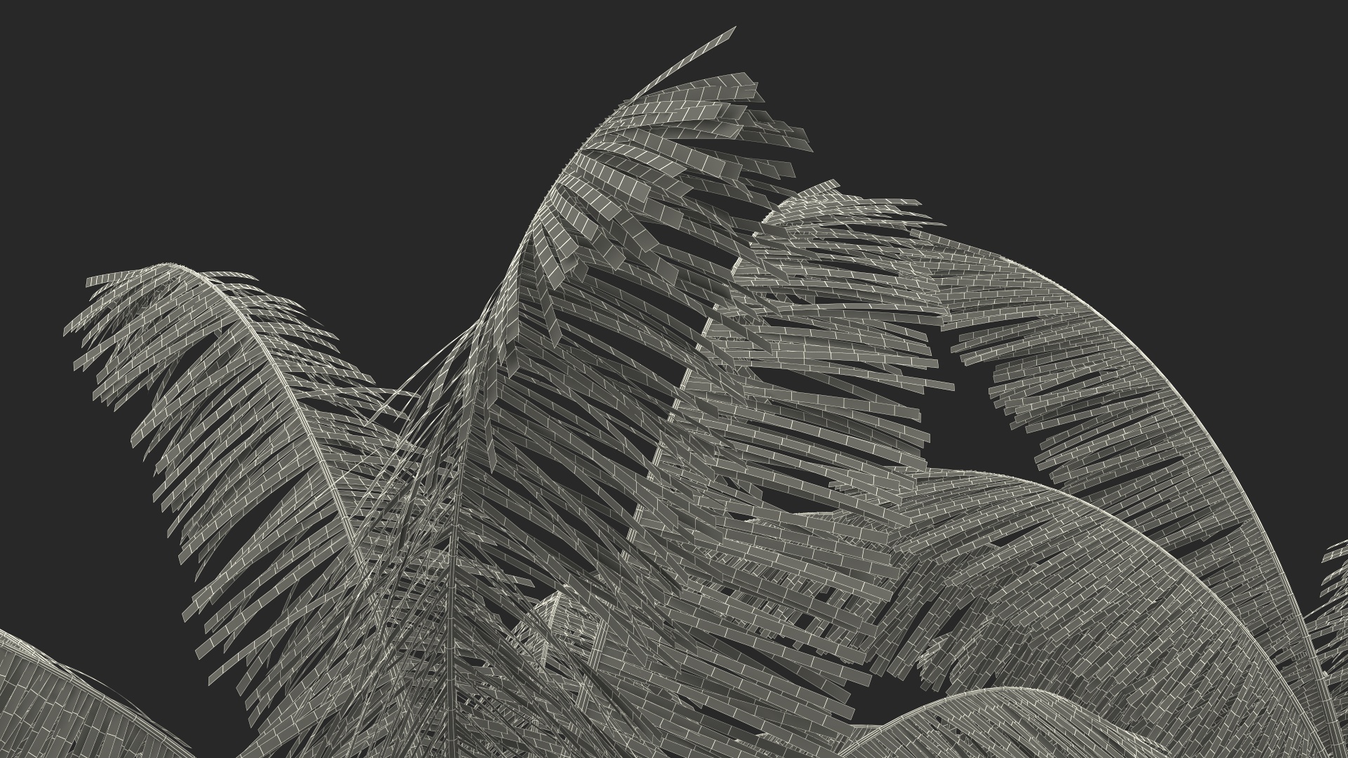 Palm Tree 3D model