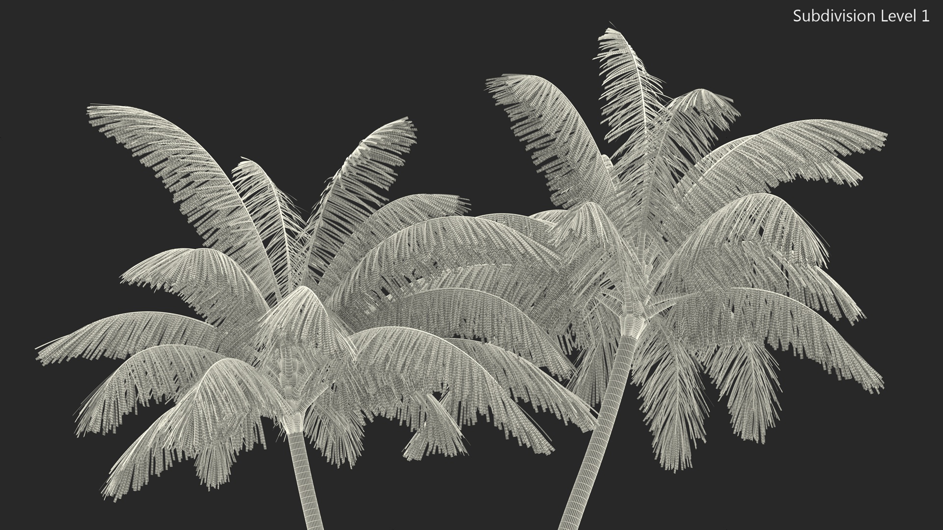 Palm Tree 3D model