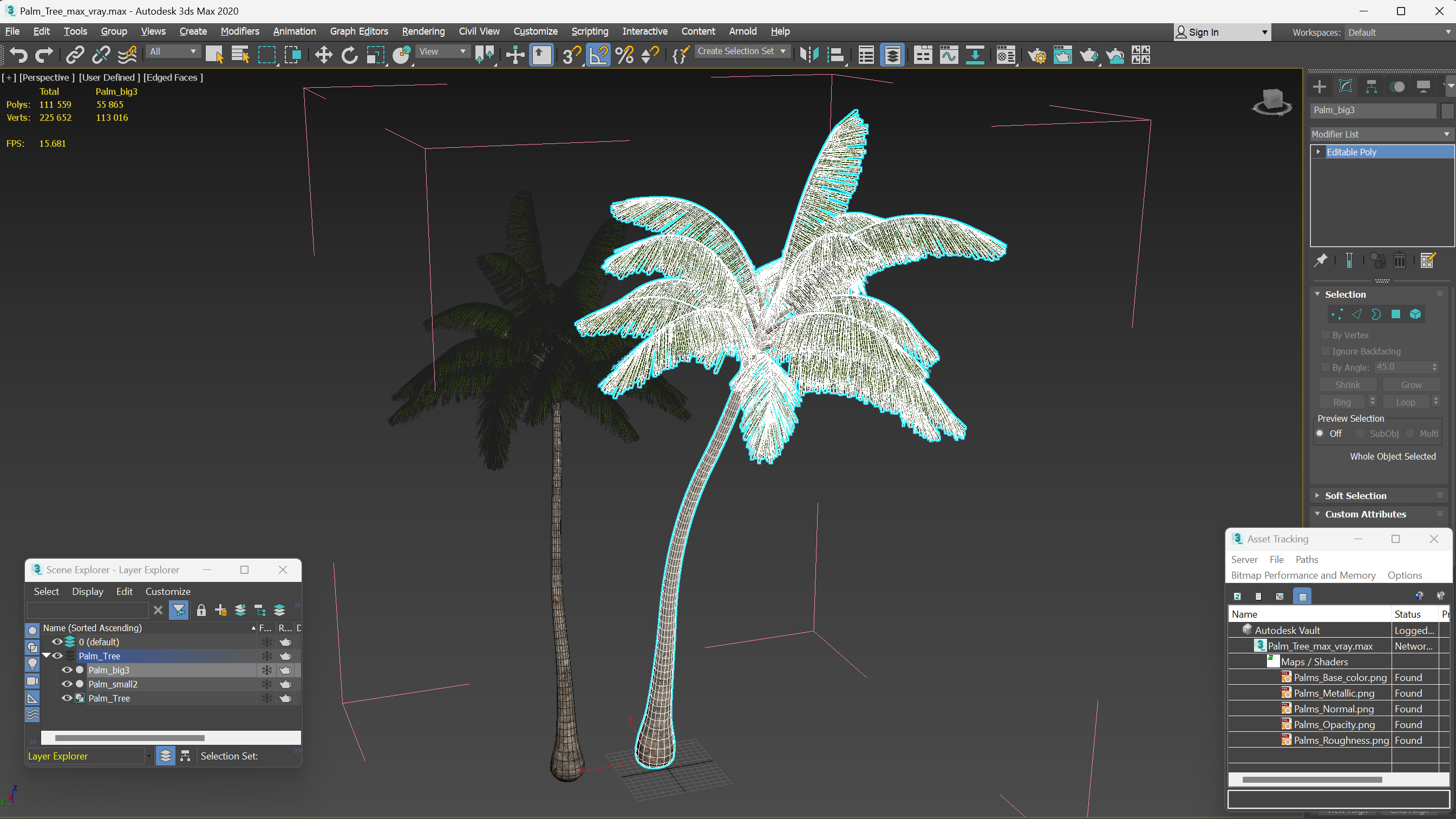 Palm Tree 3D model