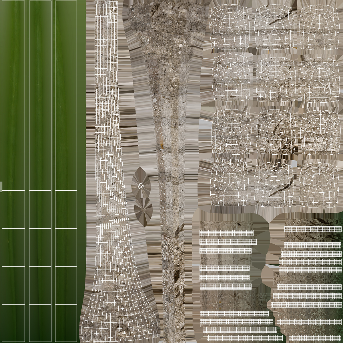 Palm Tree 3D model