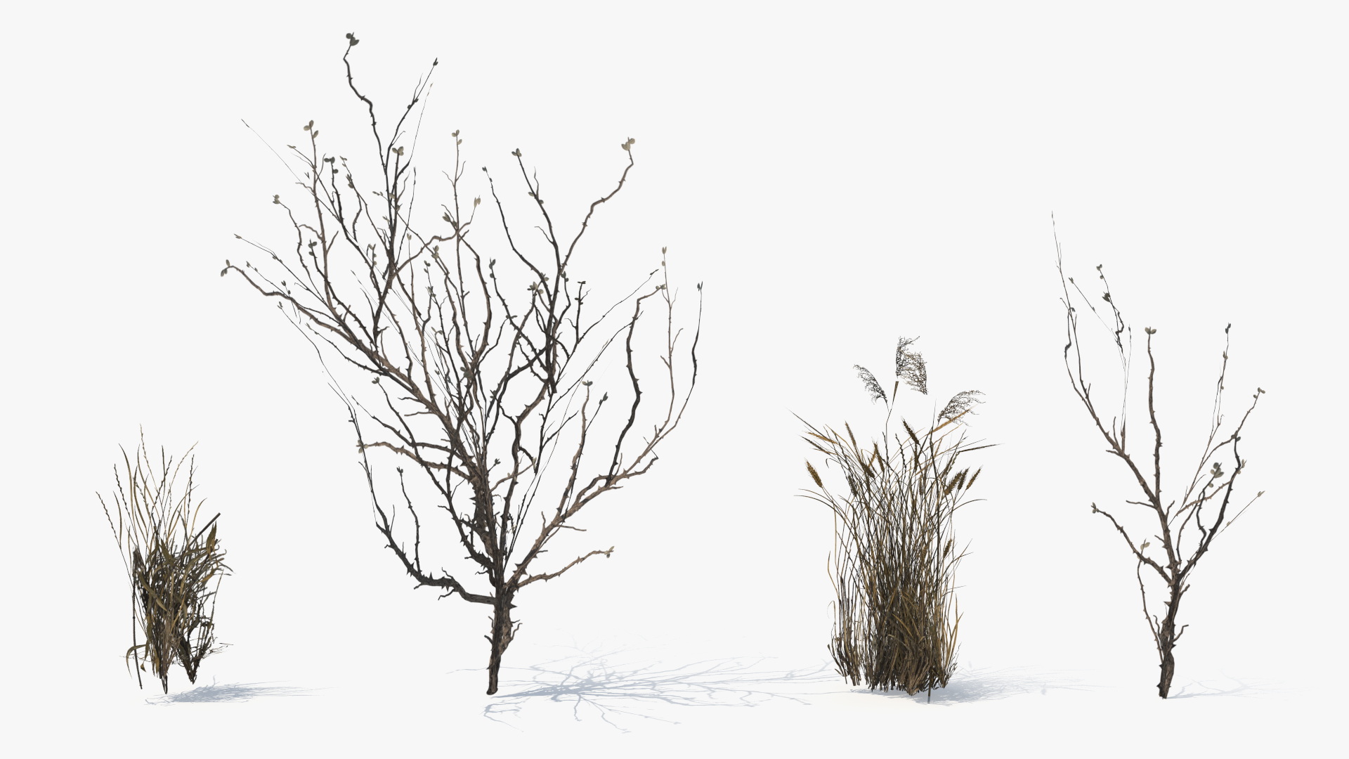 Dry Bushes with Grass Tufts Cluster Set Low Poly, view 7