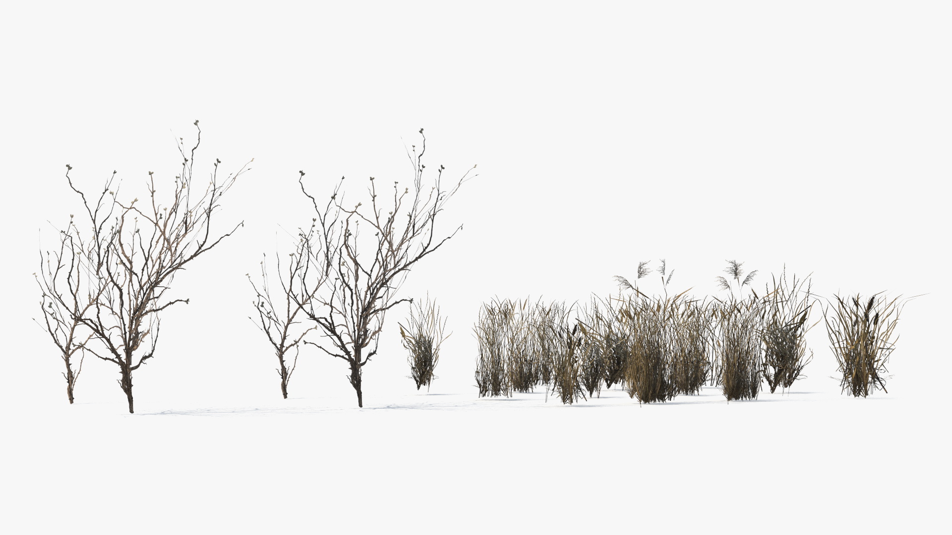 Dry Bushes with Grass Tufts Cluster Set Low Poly, view 5