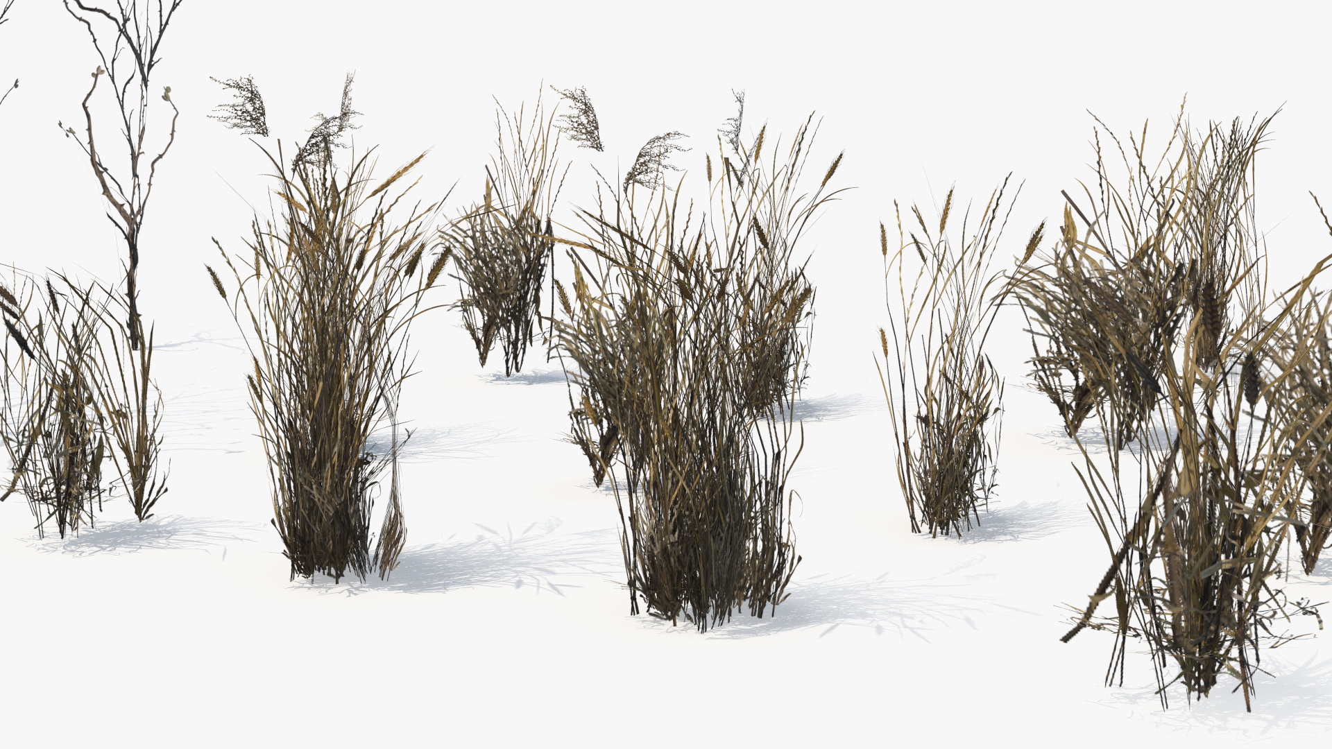 Dry Bushes with Grass Tufts Cluster Set Low Poly, view 6