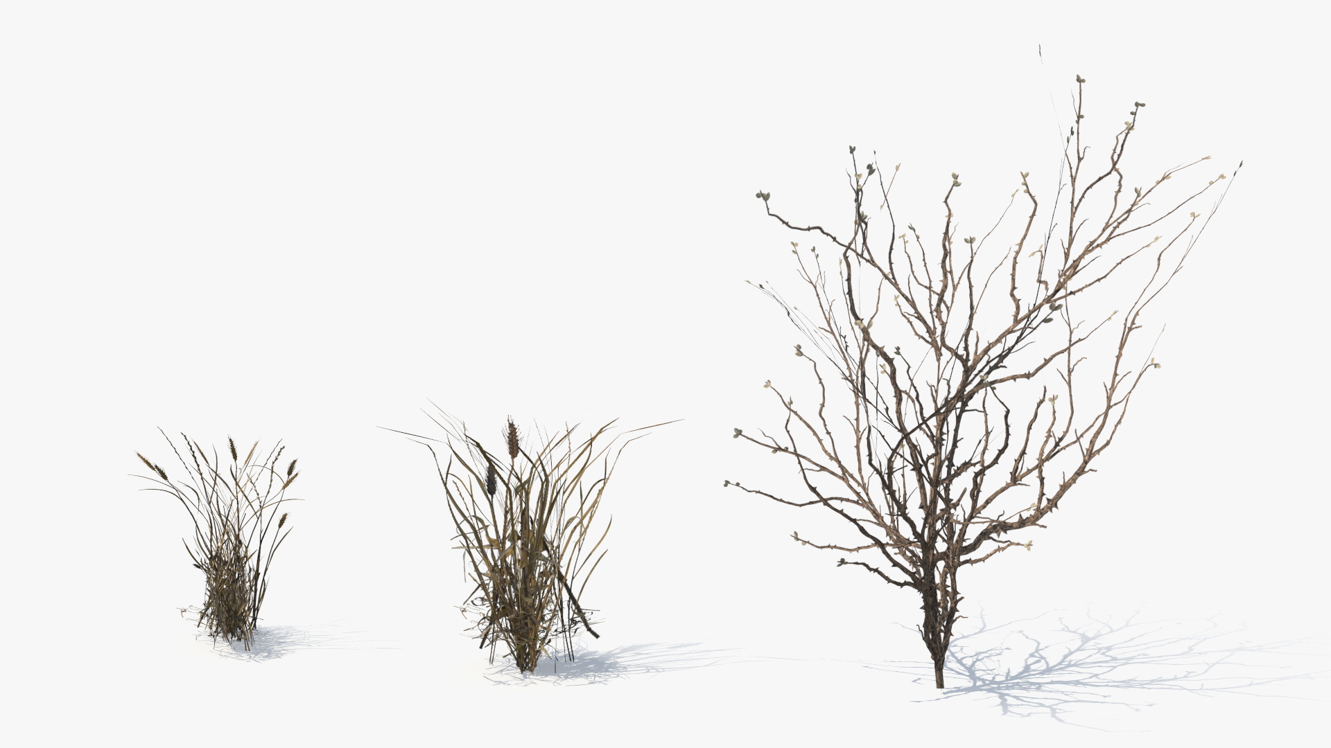 Dry Bushes with Grass Tufts Cluster Set Low Poly, view 8