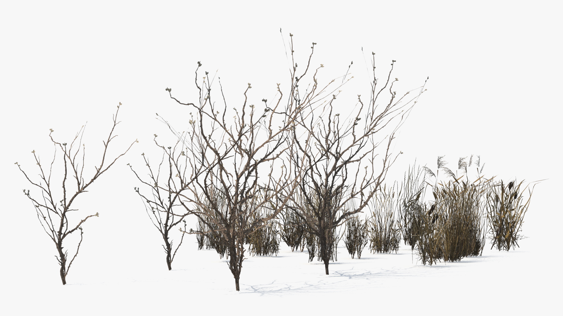 Dry Bushes with Grass Tufts Cluster Set Low Poly, view 4