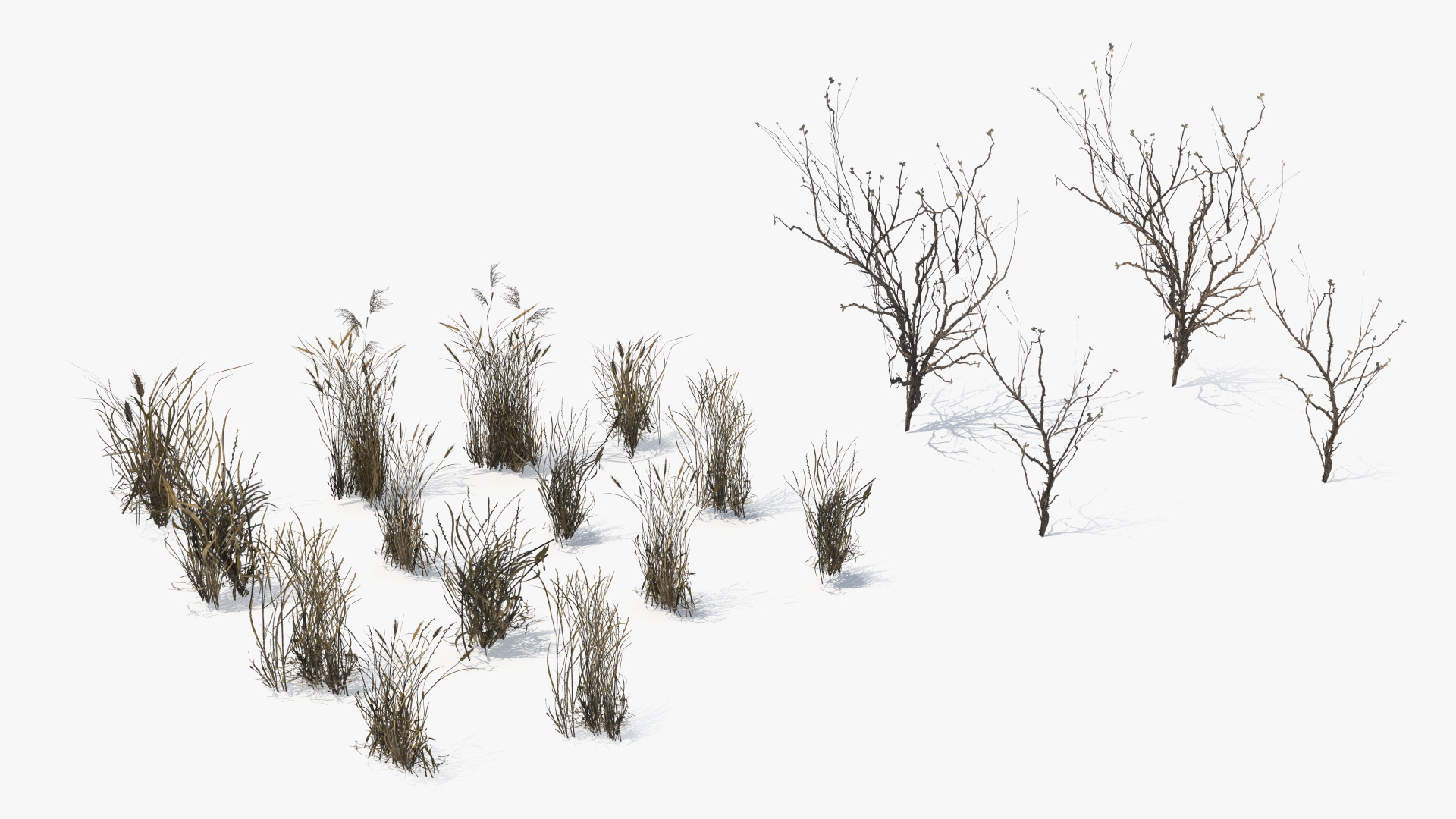 Dry Bushes with Grass Tufts Cluster Set Low Poly, view 3