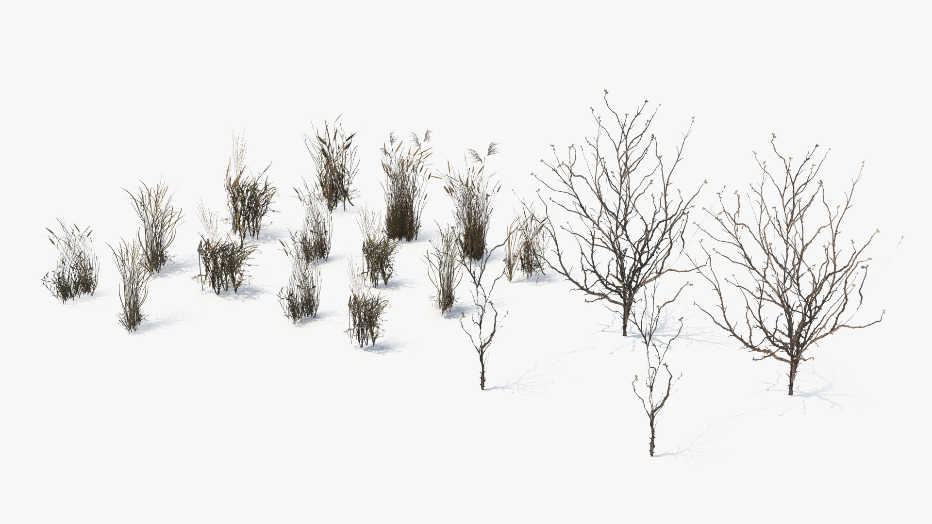 Dry Bushes with Grass Tufts Cluster Set Low Poly