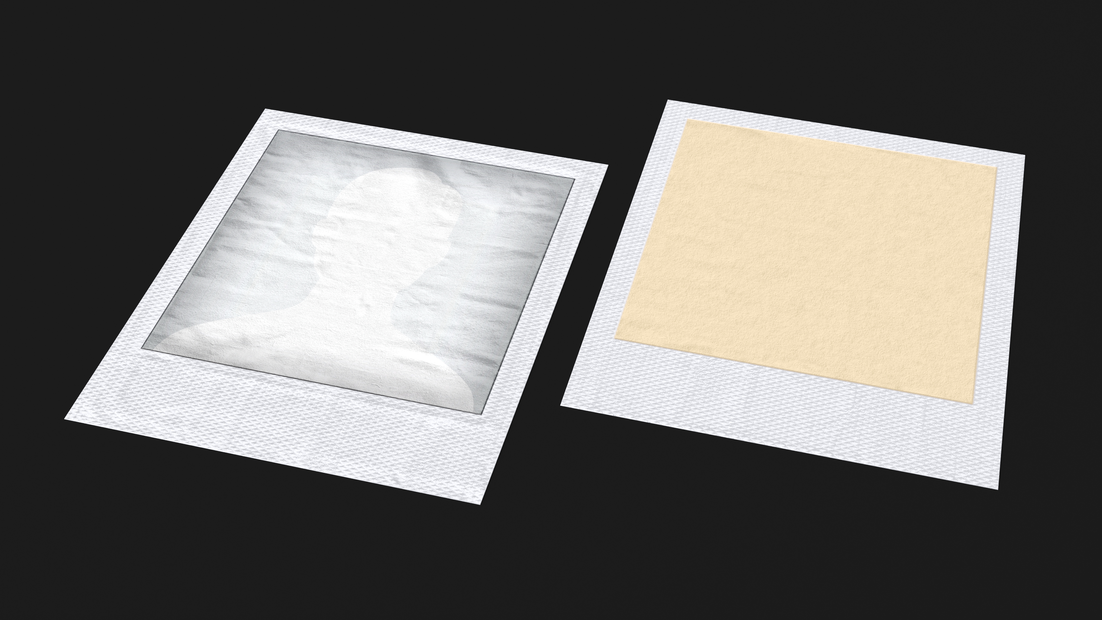 Vintage Instant Camera Film Border 3D model