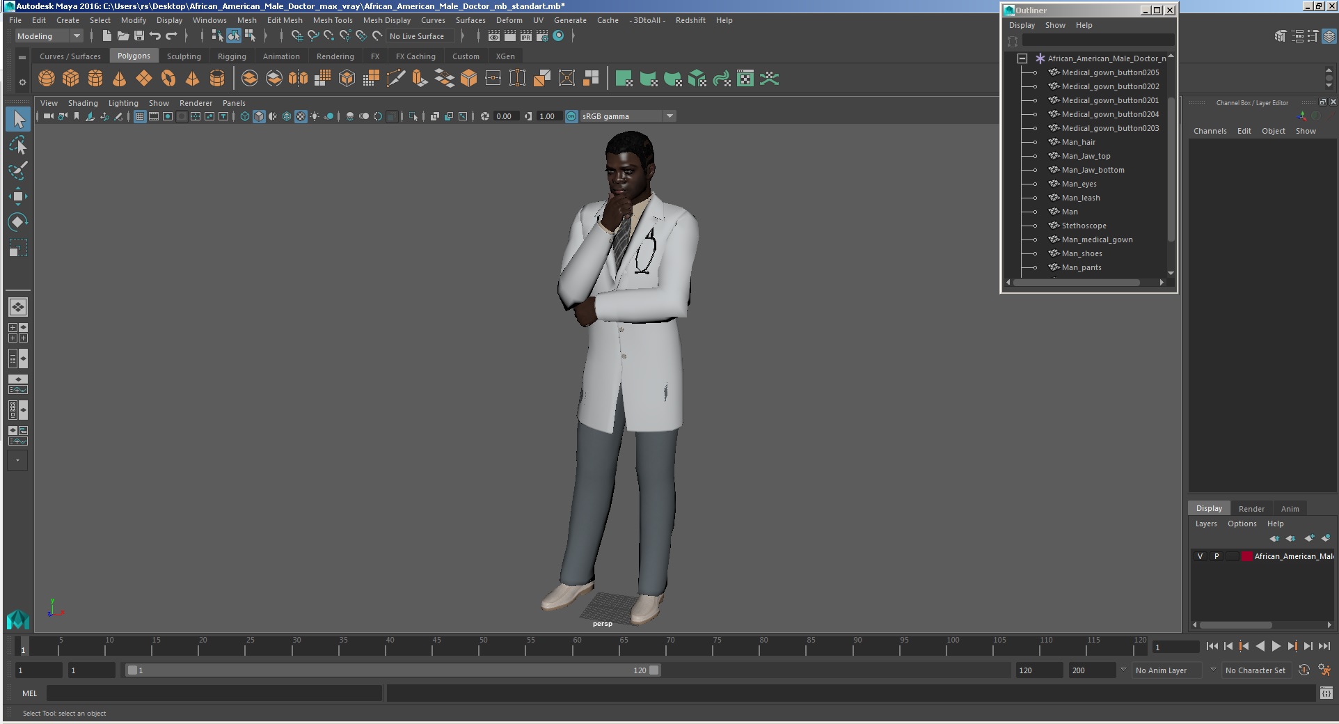 3D African American Male Doctor model