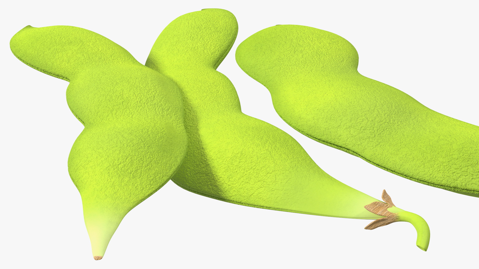 Edamame Green Soybeans Closed 3D model