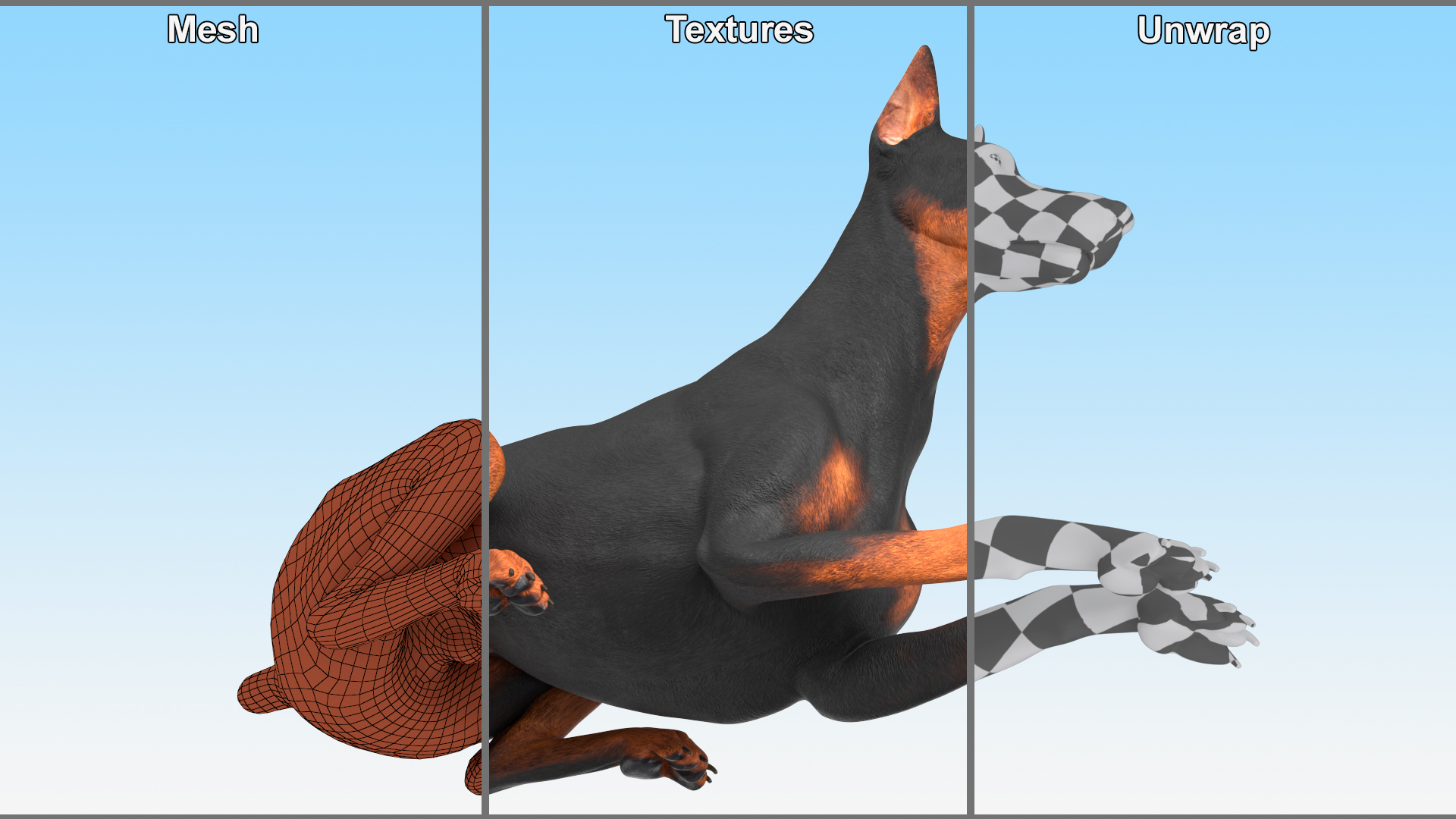 Doberman Pinscher Dog Lying Down 3D