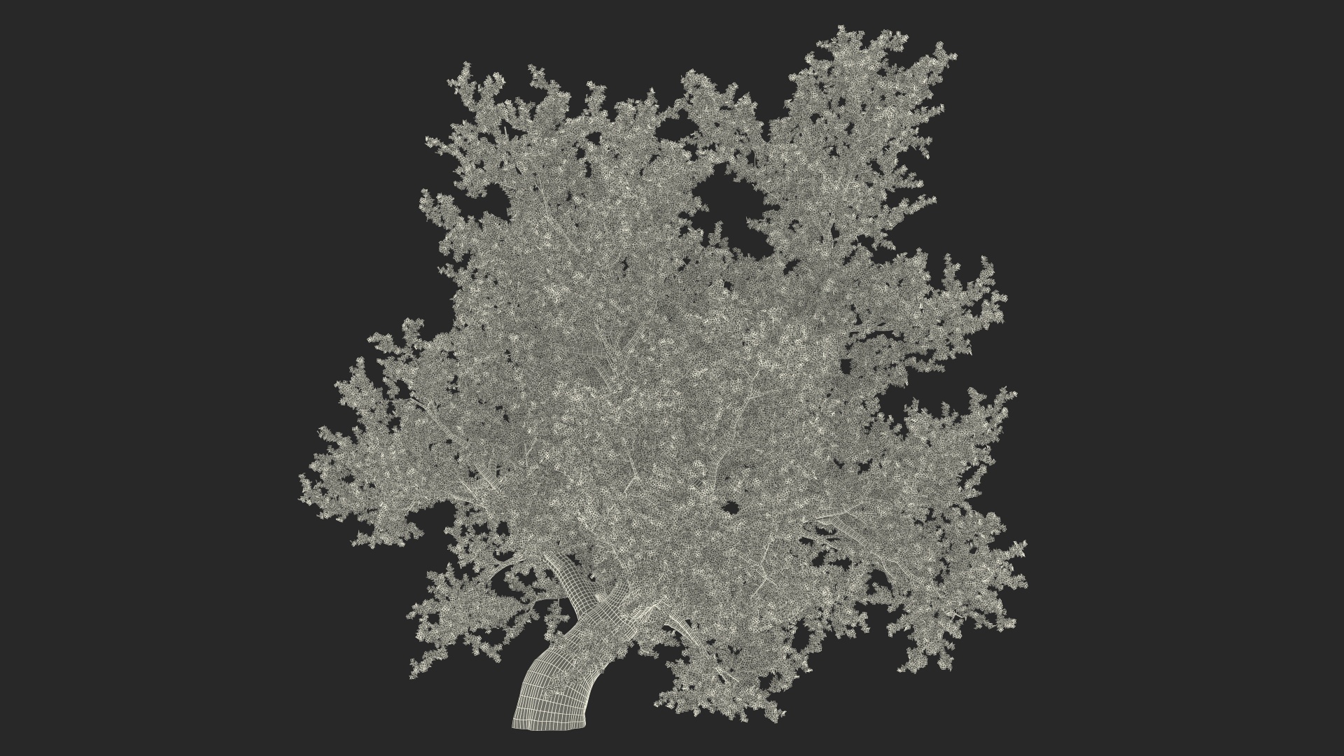 3D model Lush Maple Tree
