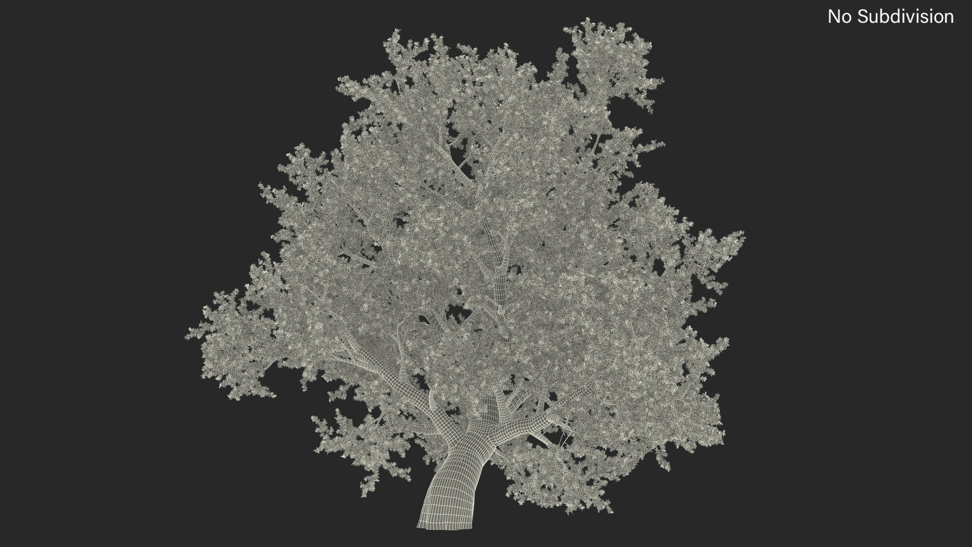 3D model Lush Maple Tree